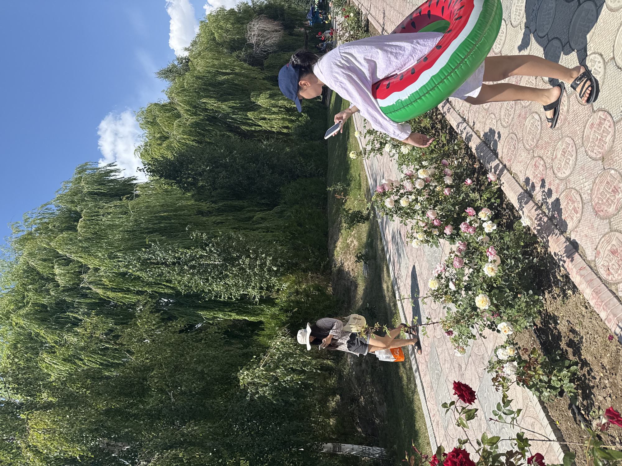 In Sary-Oy, Kyrgyzstan, a sunny day is captured with lush green trees and a clear blue sky. A paved pathway runs through a park-like setting, lined with rose bushes in bloom. On the pathway, a young woman wearing a blue baseball cap and a light-colored striped shirt stands facing right, holding a mobile phone in her right hand and a watermelon-shaped inflatable ring with her left. She is wearing a white dress and black sandals. Further down the path, another young woman wearing a white hat, a patterned shirt, and dark shorts walks away from the camera, looking at her mobile phone. She carries an orange shopping bag in her left hand and a cream-colored purse over her right shoulder. The pathway is made of patterned concrete slabs.