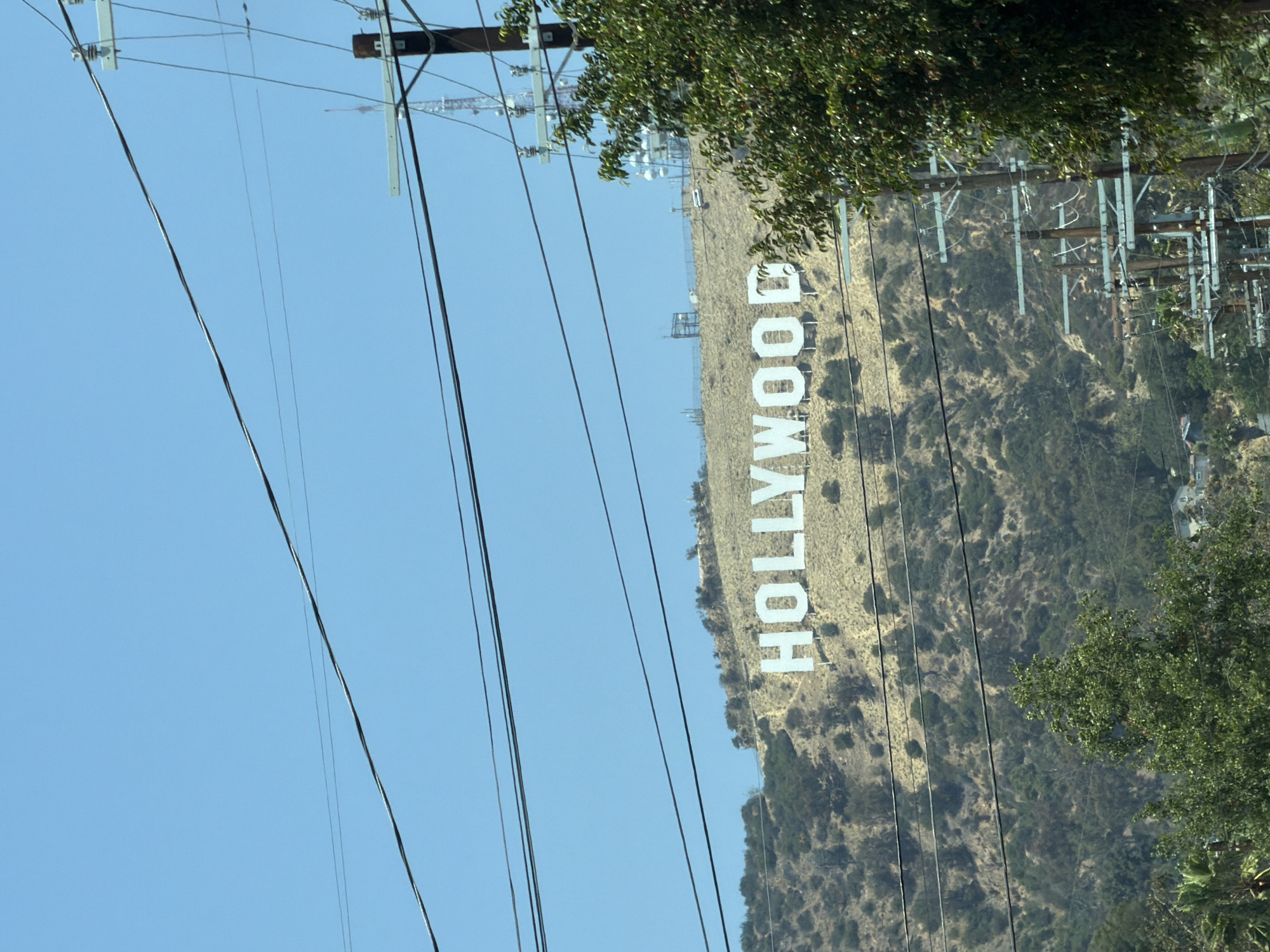 The image shows the iconic Hollywood Sign on Mount Lee in Los Angeles, California. The sign is composed of large white letters spelling out "HOLLYWOOD" and is situated on a dry, brush-covered hillside. In the foreground, a dense green tree partially obscures the view on the right side of the image, and a series of power lines crisscross the frame. Behind the Hollywood Sign, multiple communication towers and antennas are visible on the crest of the hill. The sky above is clear and blue. The scene appears to be captured during daylight.