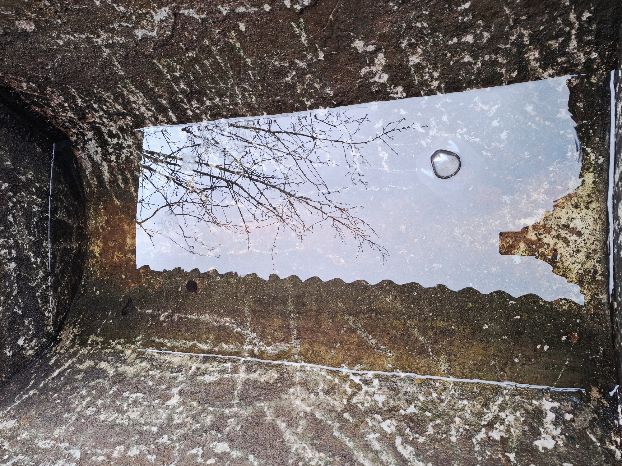 The image depicts the interior of a waterlogged concrete structure, possibly a well or reservoir, located in Khlevnoye, Russia. The rough, mottled concrete walls show signs of weathering and moisture. Water fills the structure, reflecting an image of bare tree branches and a patch of sky. A single, large air bubble floats on the water's surface. A section of the concrete edge appears to be damaged or missing along the water line.