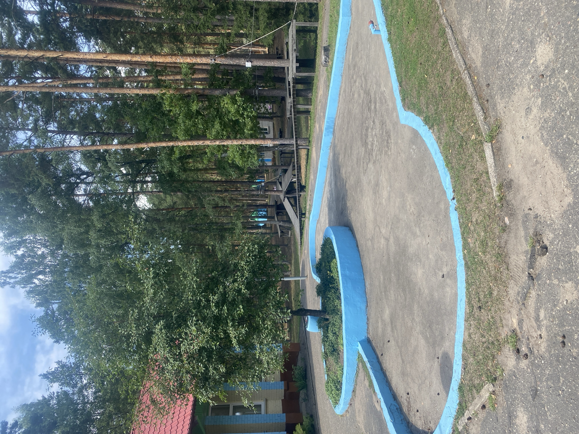 The image depicts an outdoor scene in a wooded area. In the foreground, a paved circular area is outlined with a bright blue border. A small tree stands in the center of this circular area, surrounded by greenery. To the left of the circular area is a building with a red roof and blue and yellow striped walls. In the background, a dense forest of tall pine trees is visible. Wooden structures, possibly part of an adventure park or obstacle course, are set up among the trees. The ground is a mixture of pavement, grass, and scattered pine cones. The sky is partly cloudy. The location is identified as Ilyanskiy selskiy Sovet, Belarus. There are no people visible in the image.