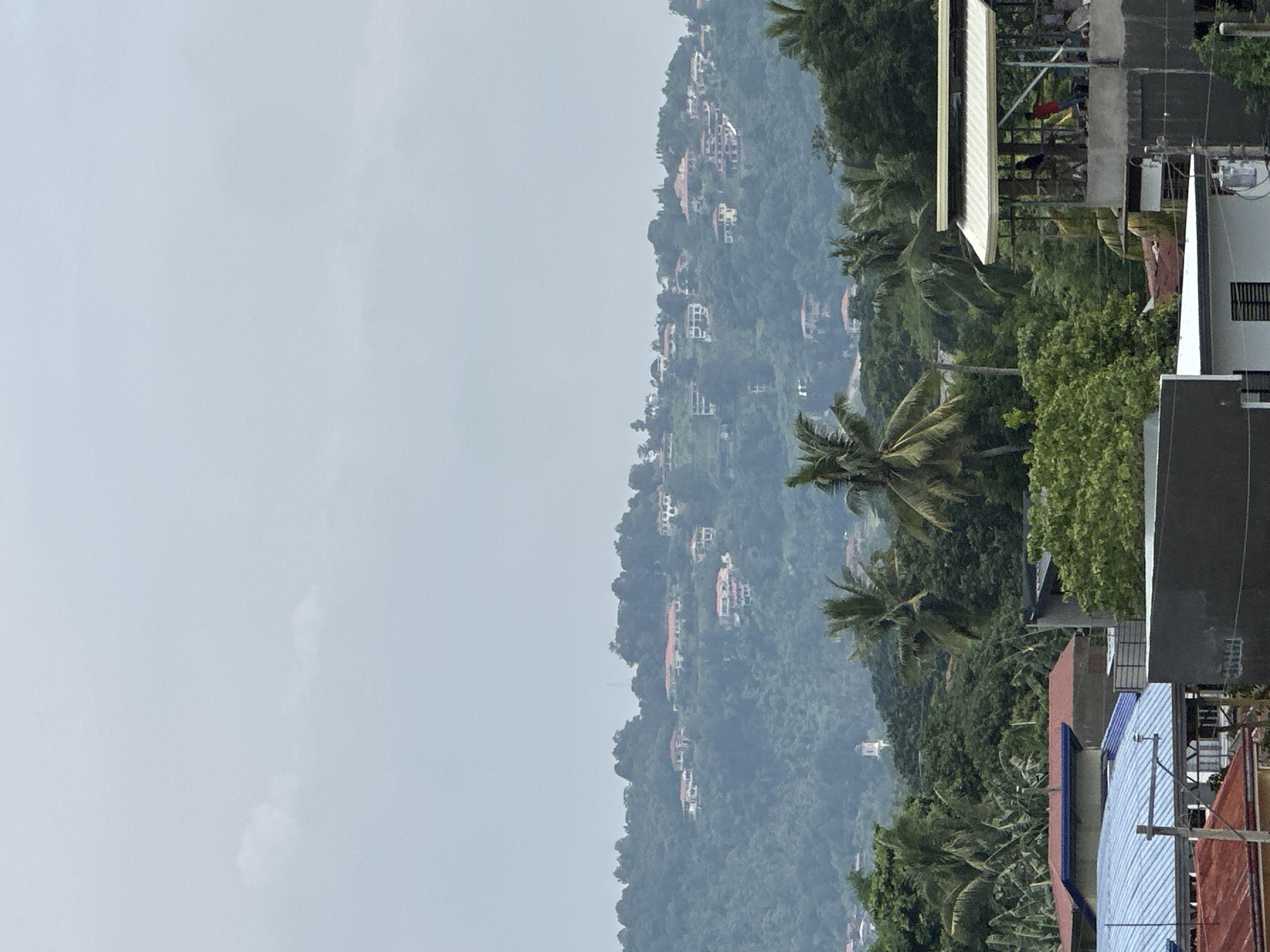 The image depicts a hillside with scattered houses in Davao City, Philippines. The sky is overcast and light gray. The hillside is densely covered with green trees, including several prominent palm trees. Houses are interspersed among the trees, appearing as small white and red structures. In the foreground, portions of buildings with various colored roofs are visible, including blue, red, and gray structures. Power lines run across the scene.