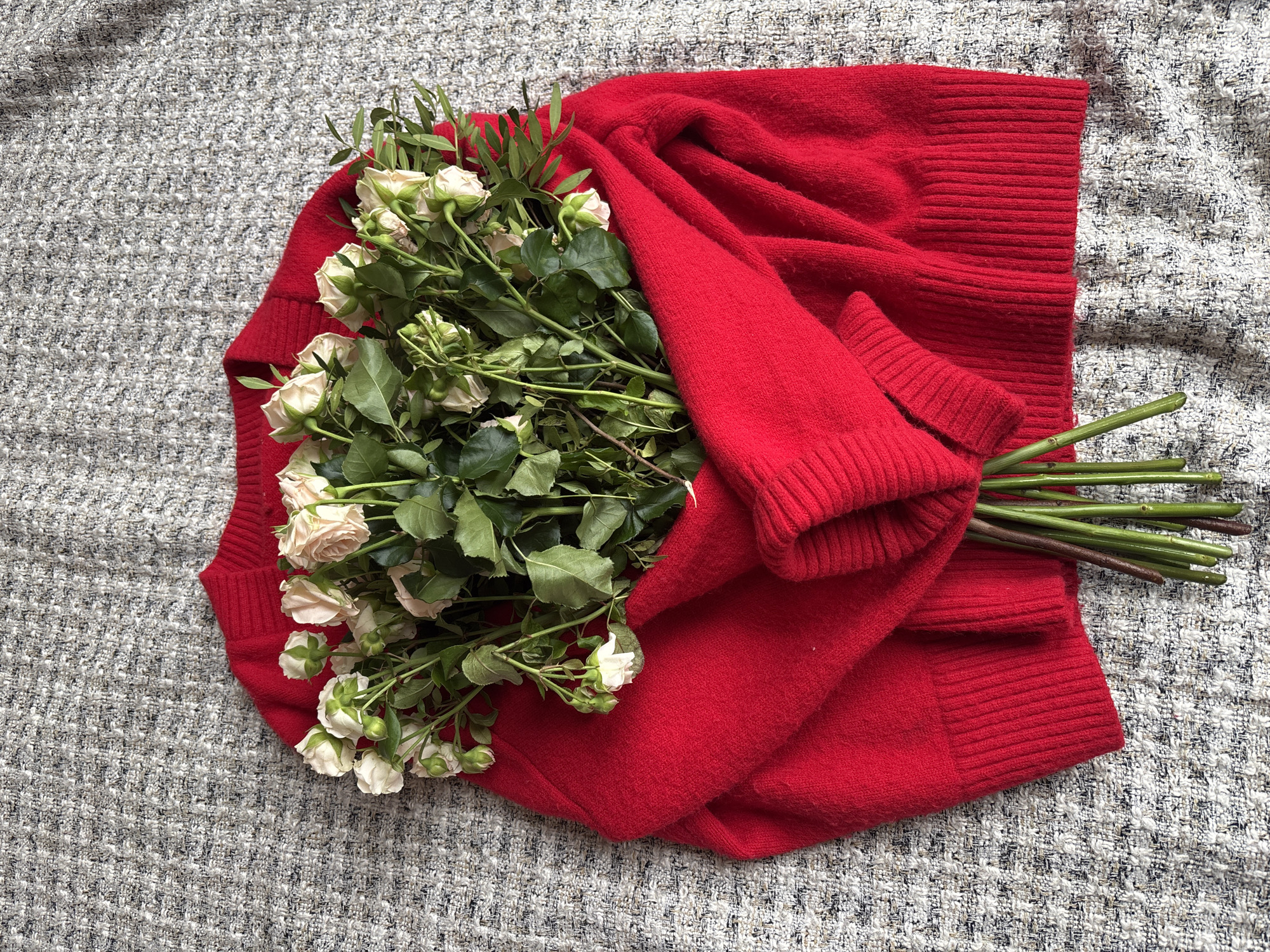 Captured in Sochi, Russia, the image presents a still-life composition featuring a vibrant red sweater and a bouquet of roses. The soft, red sweater is draped or folded, occupying a substantial part of the frame. Its rich color contrasts with the surrounding elements. Nestled partly on and beside the sweater is a bouquet of white or pale pink roses, many still in bud, accompanied by lush green leaves and stems. The rose stems extend towards the right side of the image.
The entire arrangement rests on a textured grey and white fabric, possibly tweed, flecked with black. Soft, even lighting illuminates the scene, emphasizing the textures of the fabric and the freshness of the flowers. No specific time of day or weather can be determined, but the lighting suggests either an indoor setting or an overcast outdoor environment. There are no people visible, and no specific activity is depicted beyond the thoughtful arrangement of the items. No text is present in the image. The composition conveys a sense of warmth, elegance, and a potentially intimate or gifted moment.