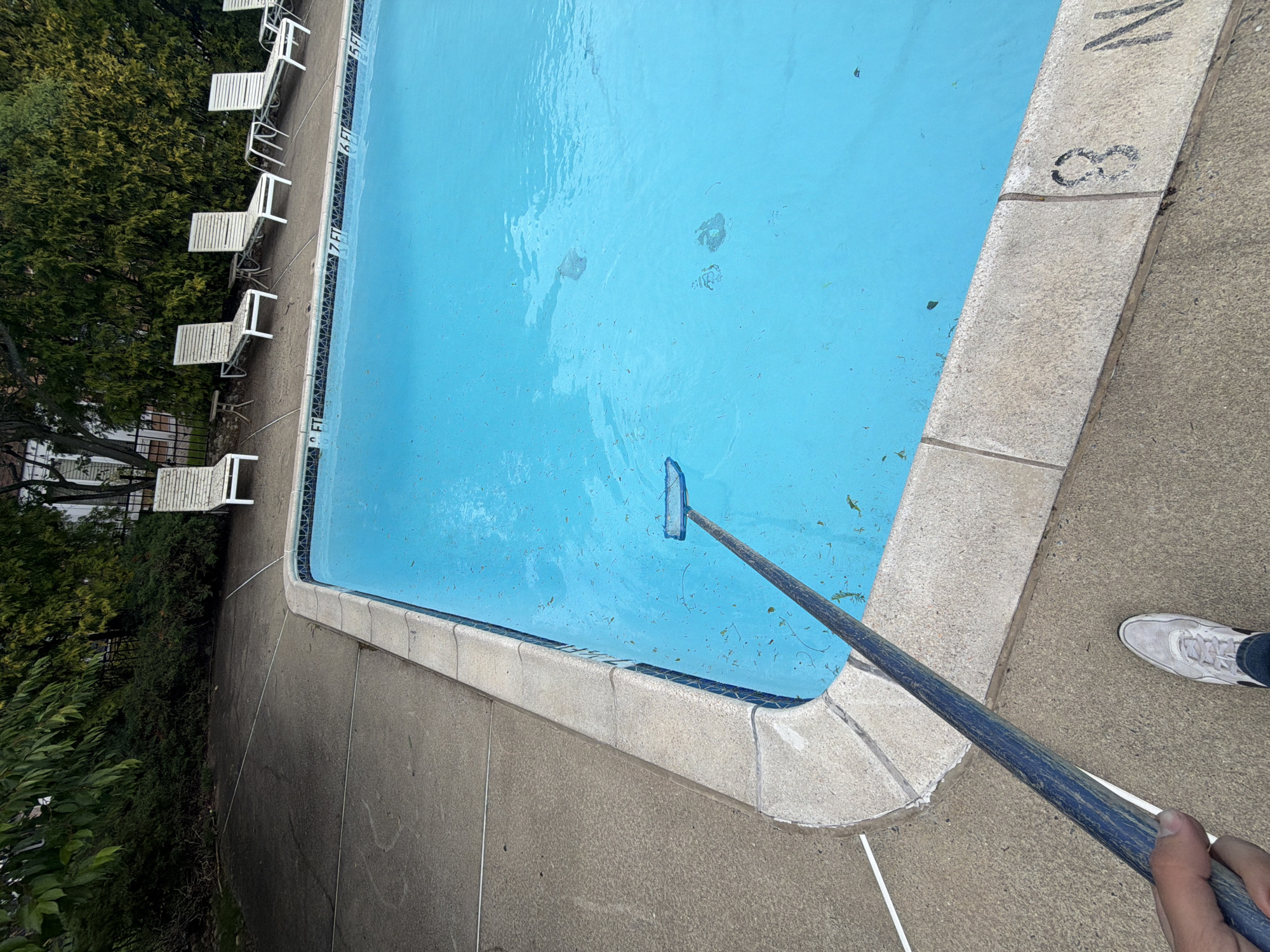 The image shows a partially above-ground swimming pool being cleaned with a leaf net attached to a long pole. The pool water is blue but contains scattered leaves and debris. The pool's edge is marked with depth indicators; the visible depth is 8 feet. Adjacent to the pool are several white lounge chairs and greenery. A person wearing grey sneakers stands by the pool, holding the pole. The location is Edison, United States of America.