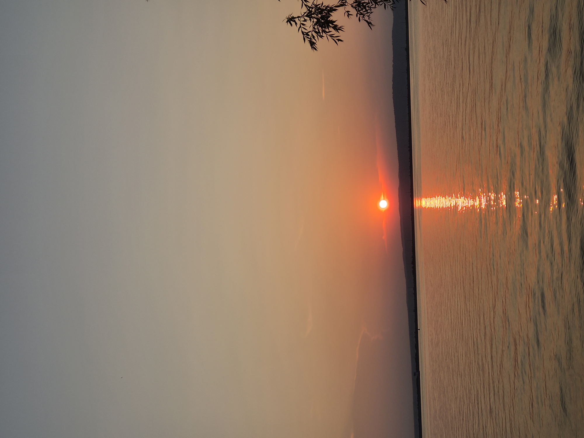 The image depicts a serene sunset over the Kama River in Chaikovsky, Russia. The sky is a gradient of soft blues and oranges, with the sun, a vibrant orange orb, low on the horizon. The sun's reflection shimmers on the rippling water, creating a path of light. In the distance, a silhouette of hills and a distant shoreline with some structures is visible. The foreground shows the calm expanse of the river. On the right side of the frame, a silhouette of a tree branch with leaves hangs down, framing the scene. There are no people or animals visible in the image. The overall atmosphere is peaceful and tranquil.