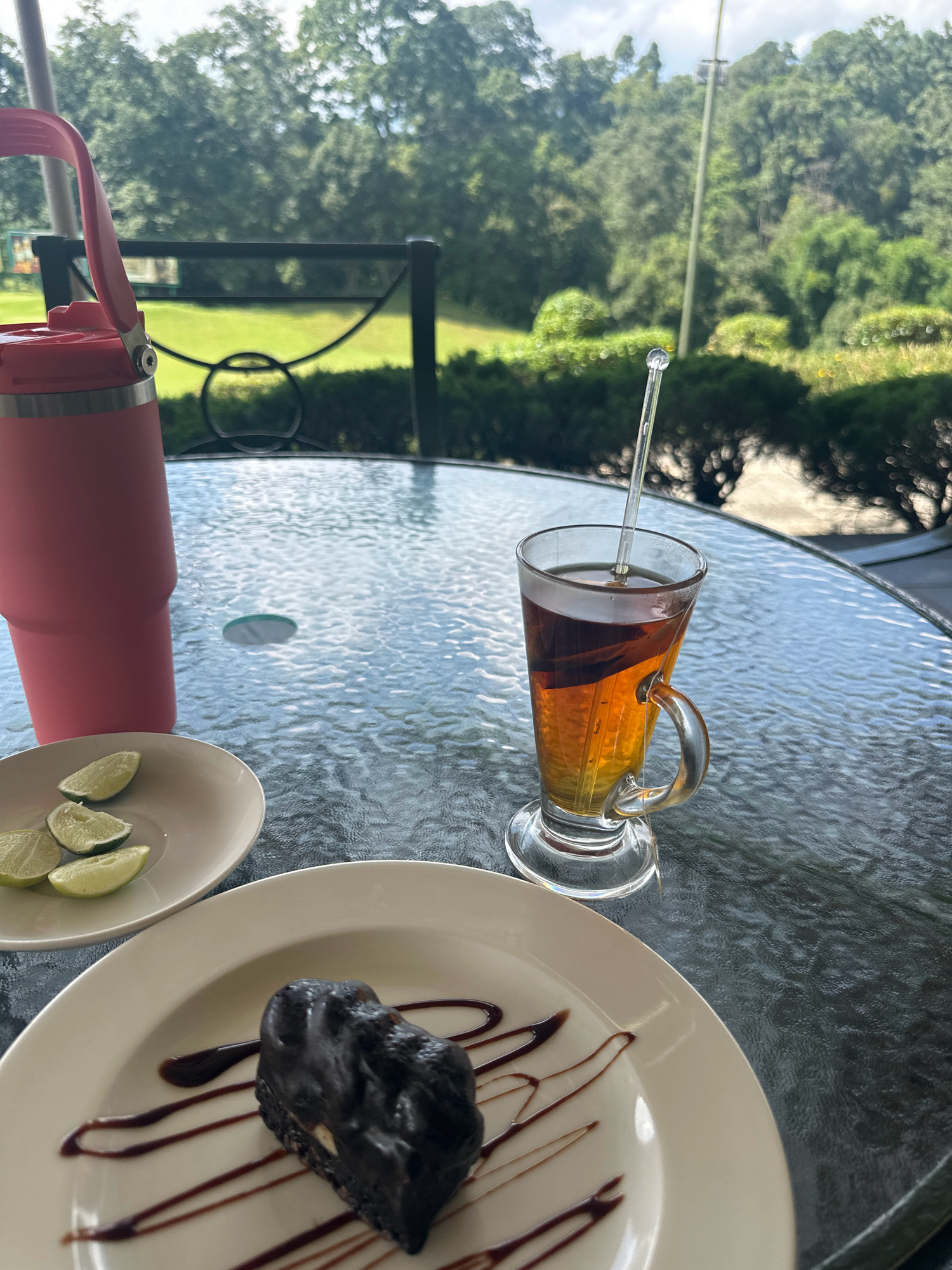 A close-up, eye-level shot captures a table set for a snack outdoors, with a lush green landscape in the background. The table itself is made of glass, its surface rippled and reflecting the light.
On the table, to the left, sits a tall, salmon-pink insulated tumbler with a matching lid and handle. Next to it, on a small white plate, are three thin slices of lime.
To the right, a clear glass mug filled with amber-colored tea is positioned. A thin, clear stirrer with a rounded tip extends from the mug, its upper portion visible. A tea bag string dangles into the liquid.
In the foreground, on a larger white plate, rests a dark chocolate dessert. The dessert is irregularly shaped and appears to have nuts embedded within it. It is drizzled with thin lines of chocolate sauce, creating a decorative pattern on the plate.
The background reveals a vibrant green lawn, bordered by a dark metal railing with an ornate, curved design. Beyond the railing, a dense arrangement of trees and foliage forms a natural backdrop. The sky above appears overcast or hazy.
The setting suggests an outdoor dining area, possibly a cafe or restaurant patio, located in Kageshwori Manohara, Nepal, given the dense, tropical-like vegetation and the overall ambiance. No people are visible in the frame, and the focus is on the food and drink items.