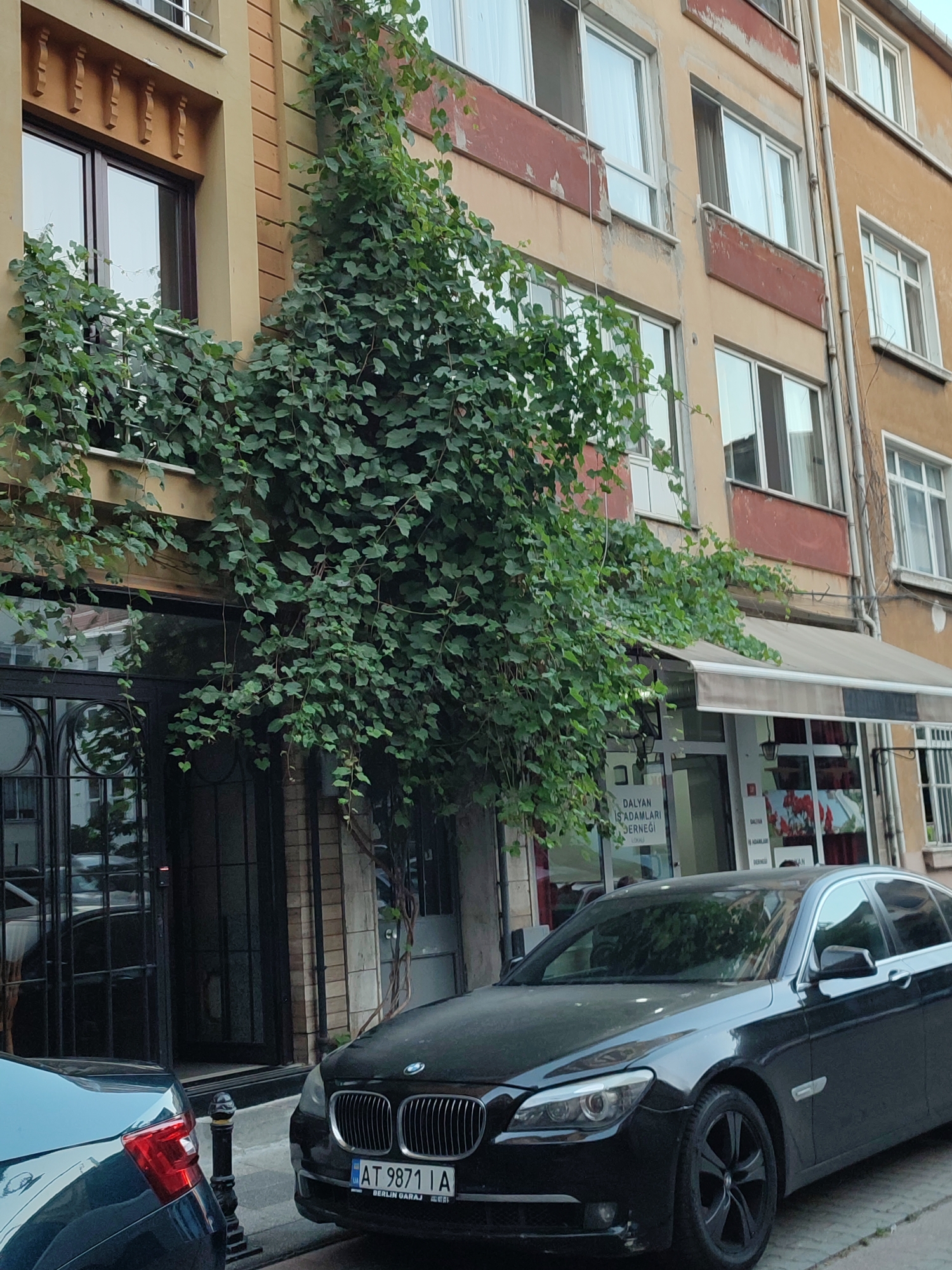 In Kadıköy, Turkey, a black BMW sedan, license plate AT 9871 IA, is parked on a street in front of a multi-story building with a light brown facade. A substantial amount of green foliage from a vine is growing up the side of the building, partially obscuring windows and a doorway with a black metal gate. The building features multiple windows with white frames, some with visible blinds. A striped awning extends over a shop entrance on the ground floor. A portion of another car, dark in color with a visible red taillight, is in the lower left corner of the frame. The street is paved with cobblestones.