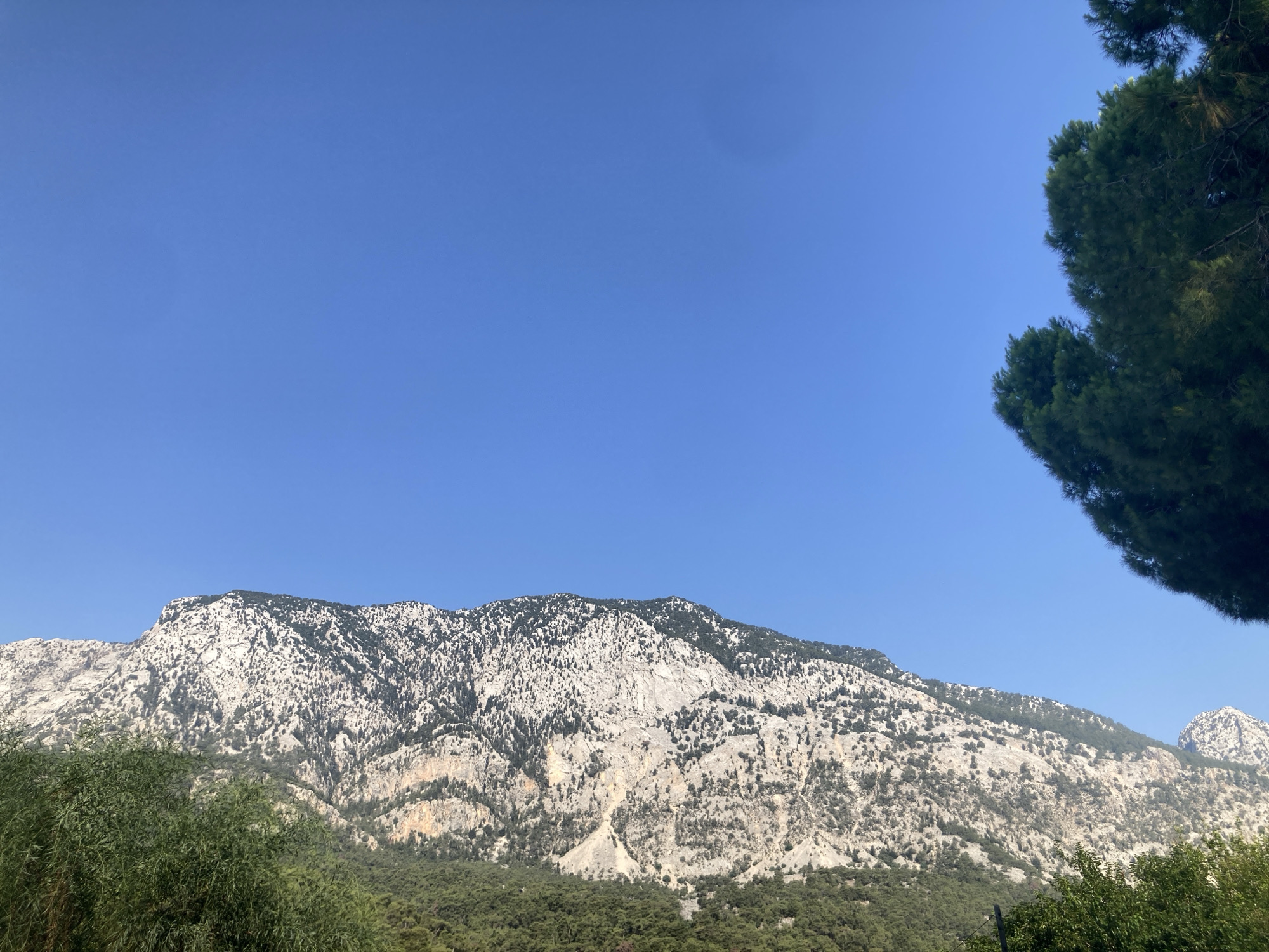 This image captures a majestic mountain range in Kemer, Turkey, under a clear blue sky. The mountains are characterized by their rugged, rocky terrain, sparsely dotted with dark green vegetation that clings to the slopes. The lower parts of the mountains are densely forested with lush green trees, creating a stark contrast with the paler rock face above. In the foreground, to the left, a cluster of leafy green trees partially obscures the view, while to the right, the dark green foliage of a coniferous tree frames the upper corner of the scene. The overall impression is one of natural grandeur and tranquility.