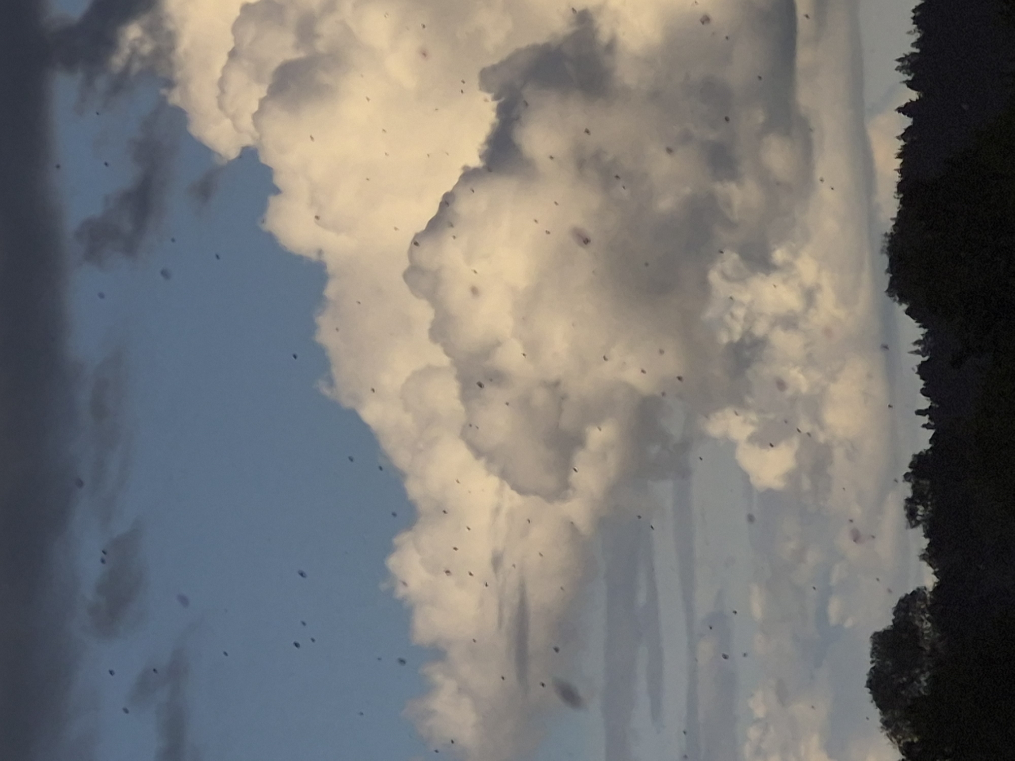 This is a photograph taken during the daytime, likely late afternoon or early evening, in the city of Sooblase, Estonia. The image captures a sky filled with a mix of dark gray and bright white clouds against a blue sky. Scattered throughout the sky are numerous small, dark, irregular shapes that appear to be insects. In the foreground, a silhouetted line of trees forms a dark band across the bottom of the frame. The overall impression is of a natural, outdoor scene, with the weather and atmospheric conditions being a prominent feature. The presence of insects suggests a warm or humid environment, and the clouds indicate potential weather changes.