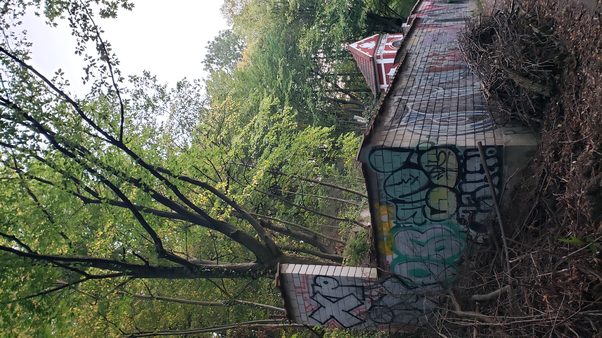 The image depicts a graffiti-covered brick wall in Prešov, Slovakia, bordering a densely wooded area. A small, red-roofed building with white decorative elements is partially visible in the background, behind the wall. The wall itself is adorned with various spray-painted tags and designs, predominantly in shades of green, black, and white. In the foreground, a pile of dried branches and debris lies at the base of the wall, suggesting an outdoor, somewhat unkempt environment. The foliage of trees forms a canopy overhead, with some leaves showing autumnal colors. The overall scene appears to be an outdoor area, possibly a park or the edge of a less-maintained urban space, characterized by the contrast between the graffiti, the natural greenery, and the architectural element of the building.