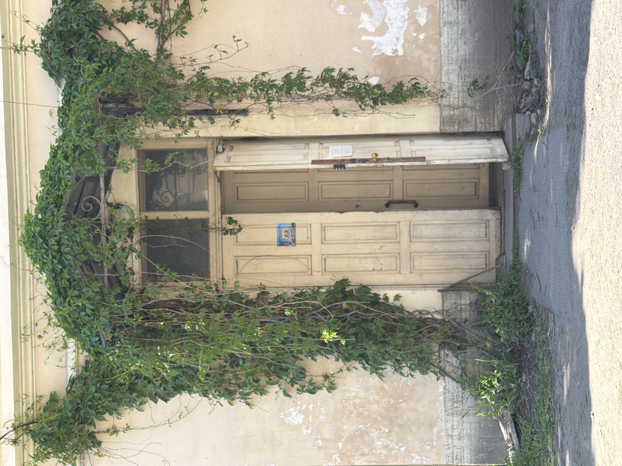This media file, oriented vertically with the right side of the image as the top, depicts the entrance to an old building, likely a side entrance or an abandoned section. A light-colored, weathered double door, slightly ajar, is the central feature, revealing a dark interior. Above the door is a transom window section, and to its left, another window with a decorative metal grate, both partially obscured.
The dominant feature of the scene is the dense, green climbing plant (likely ivy or a similar creeper) that extensively covers the building's facade, particularly around the door and window frames. The vines form a thick canopy and trail across the light, cream-colored wall, which shows signs of age with peeling paint and weathered patches.
The ground to the right of the building (bottom of the image as viewed) is a mix of concrete and asphalt, with scattered weeds and small stones growing near the base of the wall. The bright sunlight suggests it is daytime, casting clear shadows on the ground. A small, round blue plaque or sign with a golden emblem and illegible text is visible on the wall above the door frame. Another small, white, illegible piece of paper is attached to the top of the door frame. The scene conveys a sense of age and nature reclaiming an urban structure in Saint Petersburg, Russia.