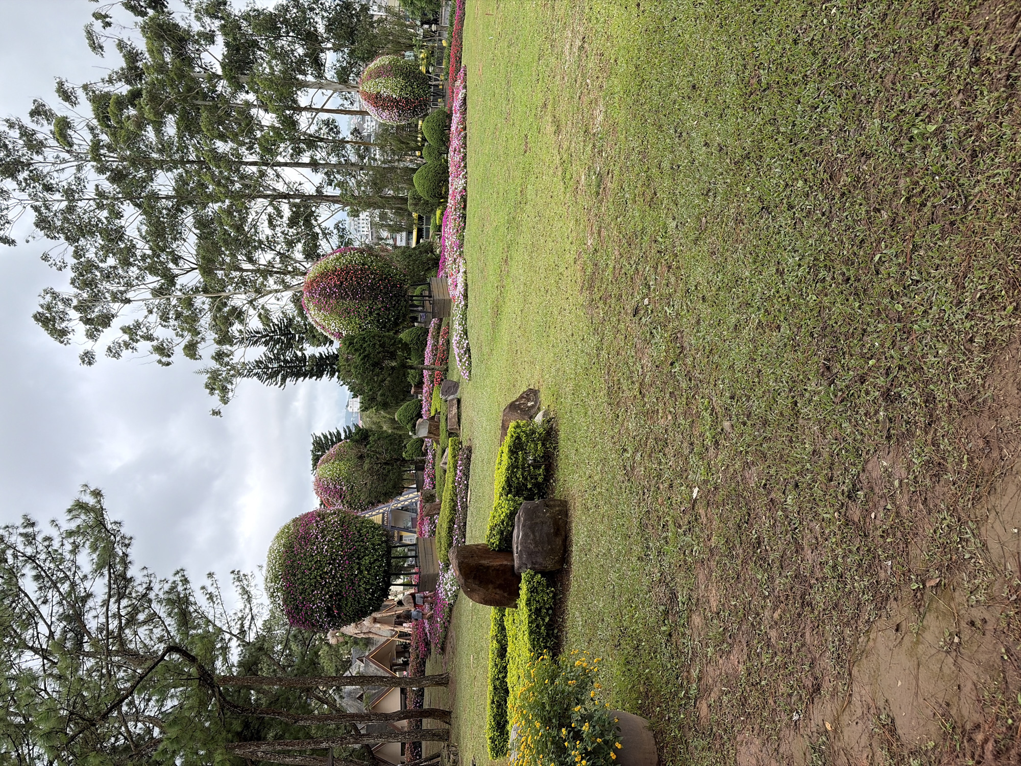 This is an outdoor image of a park-like setting in Lâm Viên - Đà Lạt, Vietnam. The foreground is dominated by a large expanse of green grass, with patches of mud and sparse vegetation. To the left, a large grey planter holds a bush of bright yellow flowers. A row of neatly trimmed green bushes is situated in the mid-ground, interspersed with large, dark-colored rocks. Beyond the bushes, a path lined with numerous small pink and white flowers stretches across the scene. In the background, several large, spherical topiaries adorned with pink, purple, and white flowers are prominent. Tall, slender trees, some with sparse foliage, rise behind the topiaries, and a few buildings with pointed roofs are visible further back. The sky is overcast, with a mix of grey clouds. Two individuals, appearing to be women, are standing in the mid-ground near a flowerbed. The overall impression is that of a well-maintained botanical garden or park.