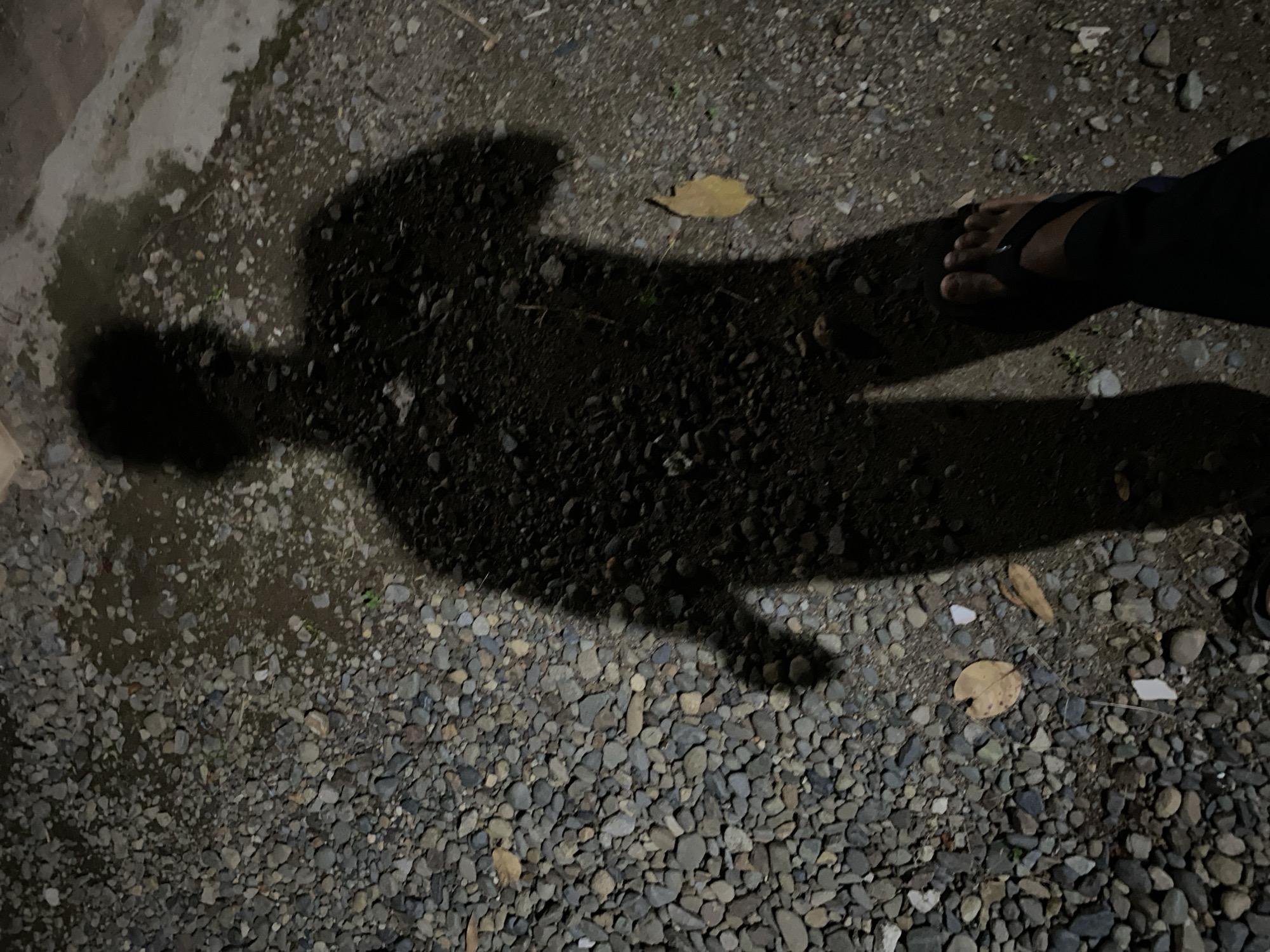 A shadow of a person stands on a surface covered with small stones and dirt. The shadow is cast from the left, indicating the light source is also from the left. The person's feet are visible in the foreground, wearing dark sandals. There are a few dry leaves scattered on the ground. The environment appears to be outdoors, possibly a pathway or a yard.