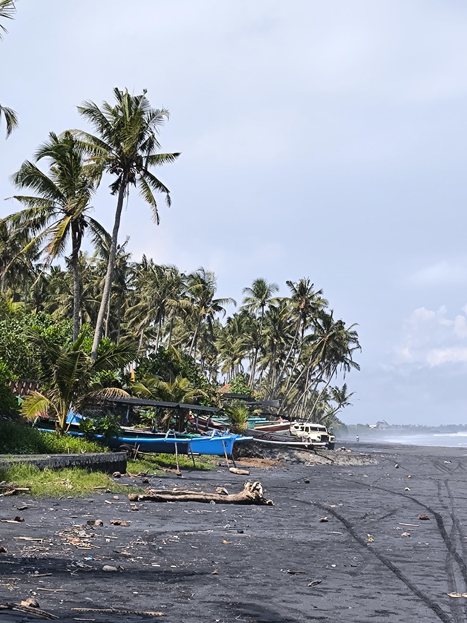 The image shows a black sand beach lined with palm trees in Selemadeg Timur, Indonesia. Several boats, including a blue one, are pulled up onto the sand. A light-colored vehicle is parked near the boats. Debris, including driftwood and litter, is scattered across the beach. Tire tracks are visible in the sand. A person is walking in the distance along the shoreline. The sky is overcast.