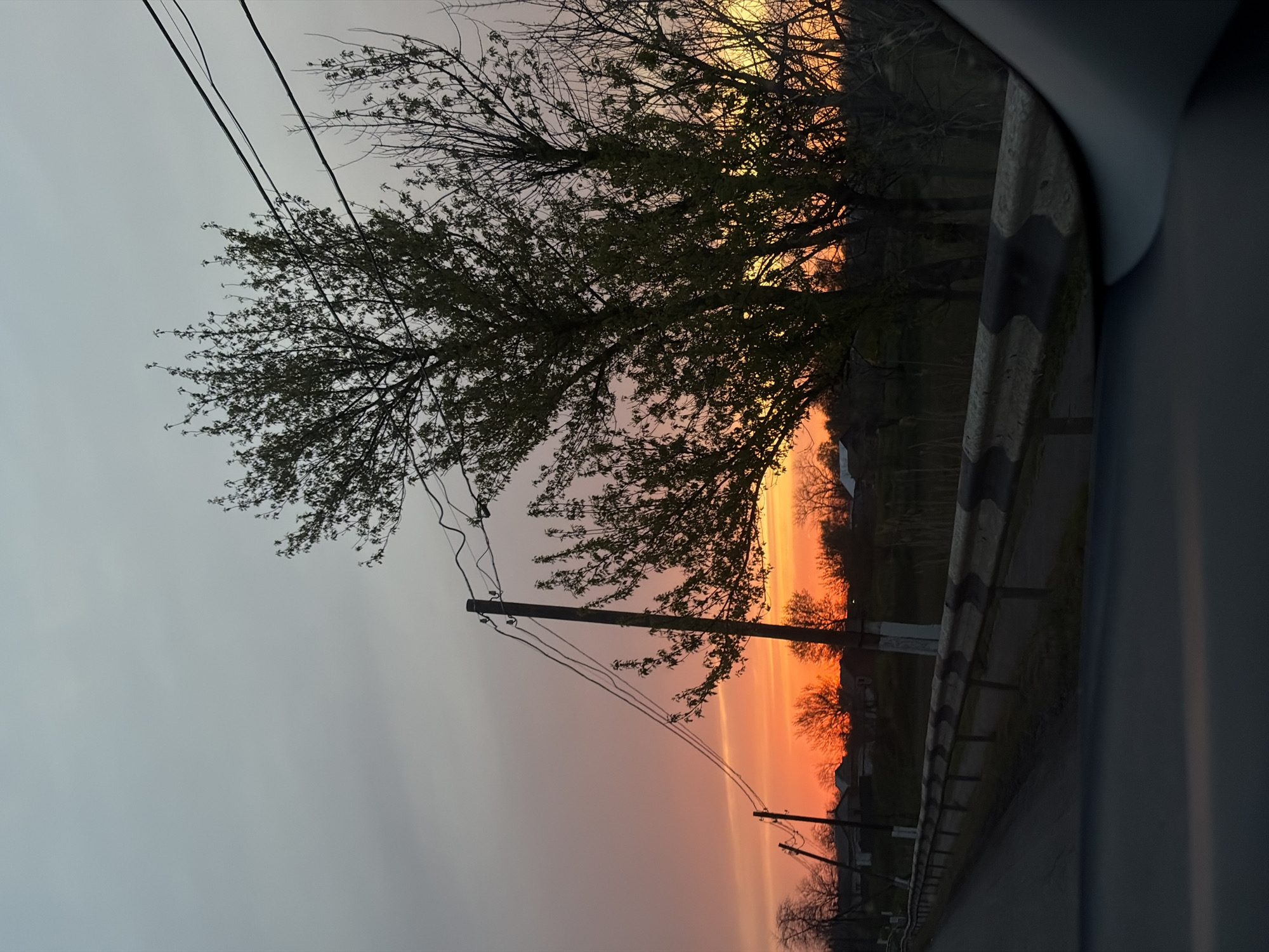 The image captures a sunset scene from inside a vehicle, looking out onto a rural or semi-rural roadside in Alexandrovka, Russia. The sky dominates the frame, showcasing a dramatic vertical gradient of colors. On the far right, intense yellow and bright orange hues mark the horizon where the sun is setting, transitioning to softer pinks and oranges towards the center, and fading into a muted grey-blue on the far left.
In the mid-ground and foreground, a large, dark tree with some visible green leaves stands prominently against the colored sky, its branches extending across the upper part of the frame. Below it, a utility pole supports several electrical wires that stretch diagonally across the sky. Another smaller utility pole is visible further down to the right.
Along the bottom right of the image, a striped black and white guardrail runs vertically, separating the road from the adjacent landscape. Beyond the guardrail, silhouetted bare trees and distant structures, possibly houses, are visible against the vibrant sunset glow. A part of the car's interior, likely a window pillar, frames the scene on the far right.
The overall impression is one of peaceful observation during twilight, with the setting sun creating a serene and atmospheric backdrop. No discernible text is visible in the image.