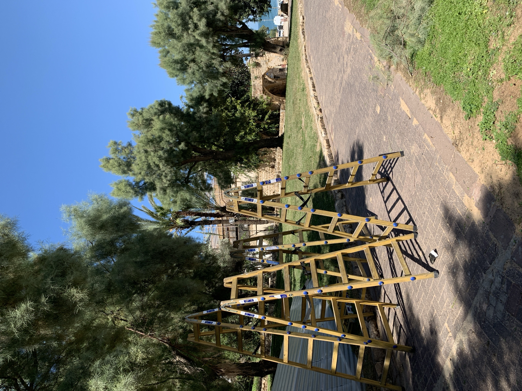 Here's a forensic description of the image:
**Location:** The image appears to be taken in a park or outdoor area within the city of Tel-Aviv, Israel. This is inferred based on the vegetation, architectural style, and known geographical characteristics of the city.
**Objects:**
* **Ladders:** There are multiple connected golden-colored ladders placed on a paved surface. The ladders are marked with blue fittings.
* **Paved Surface:** A brick paved walkway runs through the scene.
* **Vegetation:** The surroundings include trees (variety of types and foliage density), grass, and other shrubbery, typical of urban landscaping.
* **Architectural Structure:** In the background, there is what appears to be a section of a stone or brick wall/ruin.
**Environment:**
* **Weather:** The scene is bathed in strong sunlight, casting distinct shadows. The sky is clear and blue.
**General Description:** The scene depicts multiple ladders placed in a garden setting, with trees and a portion of an old stone or brick wall/ruin in the background. The setting appears to be a public park area.