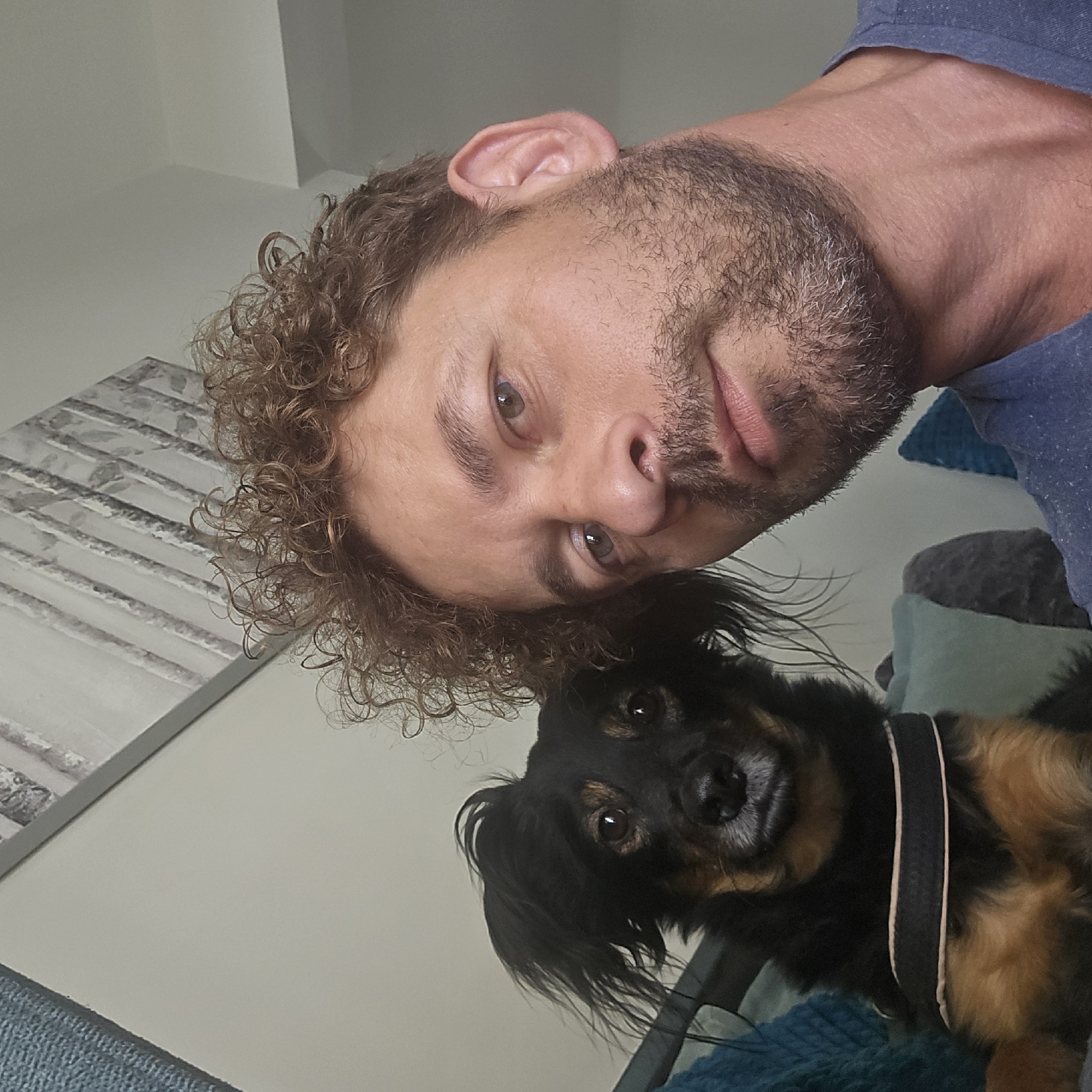 A medium shot selfie shows a man and a dog on a couch. The man, who is in his 40s, has curly brown hair and stubble. He is wearing a blue t-shirt. The dog is a small, black and tan terrier mix with floppy ears. The dog is wearing a black harness with tan trim. The background is a light-colored wall with a framed piece of art depicting abstract lines. The scene appears to be indoors, possibly in a living room. The image does not contain information about the location in the city of Agii Anargiri, Greece.