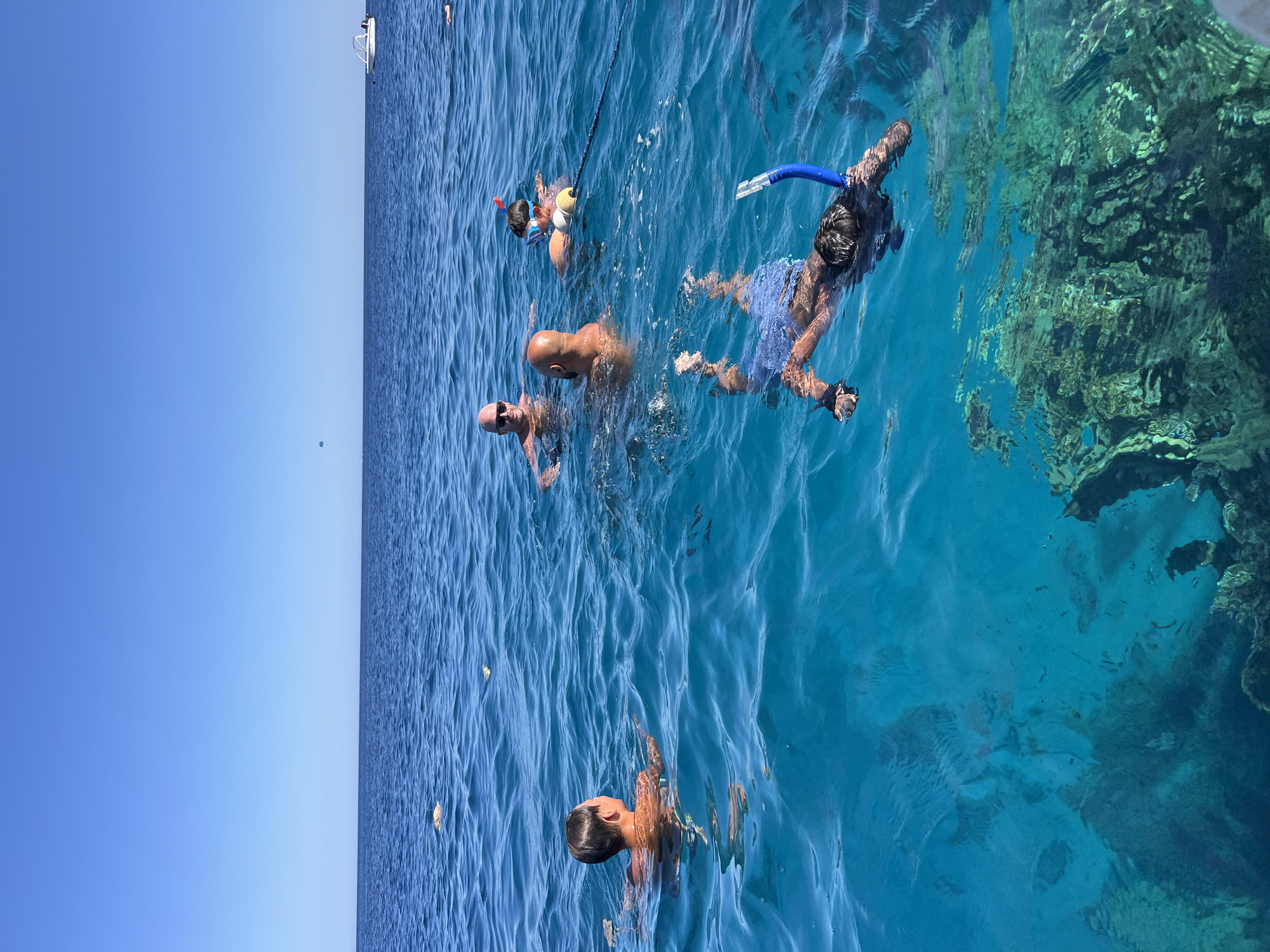 In a vibrant, sun-drenched scene in Sharm El Sheikh, Egypt, several individuals are enjoying a snorkeling excursion in the crystal-clear turquoise waters of the Red Sea. The image captures a group of people immersed in the water, their bodies partially submerged as they swim and explore the underwater world.
One person, wearing a blue snorkel and mask, is actively swimming, their snorkel tube protruding above the surface. Another individual is seen from behind, their body oriented towards the vibrant coral reef visible beneath the water's surface. A third person, bald with sunglasses, is also swimming nearby. Further in the distance, a younger individual with a snorkel and mask can be seen swimming, holding onto a rope.
The water is remarkably clear, allowing a detailed view of the colorful coral formations and small fish that inhabit the reef. The sunlight creates a shimmering effect on the water's surface, highlighting the ripples and waves. The sky above is a brilliant, cloudless blue, suggesting a clear and sunny day, likely late morning or early afternoon given the bright lighting. The overall atmosphere is one of recreation and enjoyment, with the people clearly engaged in the activity of snorkeling and appreciating the natural beauty of the marine environment. The scene is set in the open water, near a coral reef, indicative of a popular tourist destination for water activities. No visible text is present in the image.