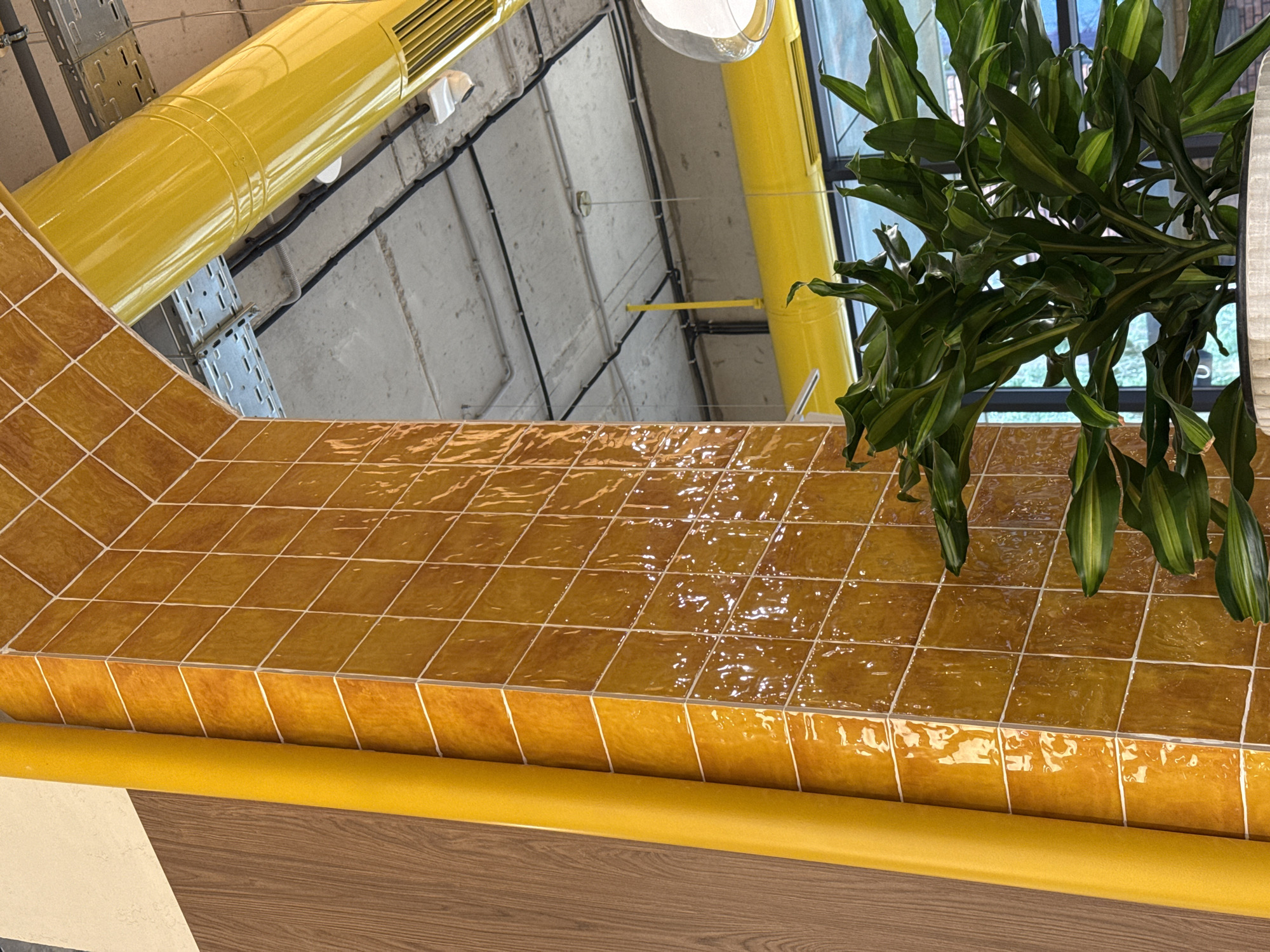 This image captures an upward-angled view of an interior space, characterized by a mix of industrial and decorative elements.
In the foreground, a prominent counter or ledge is covered with small, square, glossy tiles in shades of amber and brown, reflecting light unevenly, suggesting a slightly textured or handmade surface. The tiles are arranged with clear white grout lines. Below this tiled surface is a smooth, bright yellow rounded trim, which rests on a wooden surface with a visible grain, possibly a table or floor.
To the right, a vibrant green leafy plant, possibly a Dracaena, hangs or is placed on the tiled surface, its long variegated leaves extending into the frame and partially obscuring a window with dark frames in the background.
Above the counter, a large, cylindrical, bright yellow duct, likely part of an HVAC system, runs horizontally across the upper portion of the frame. The ceiling is raw concrete, with various exposed utilities including silver-grey metal cable trays and black electrical conduits/cables. A small white security camera or sensor is mounted near the yellow duct, and a circular white light fixture is partially visible further back. The natural light filtering in from the window suggests it is daytime. No people or visible text are present in the image.