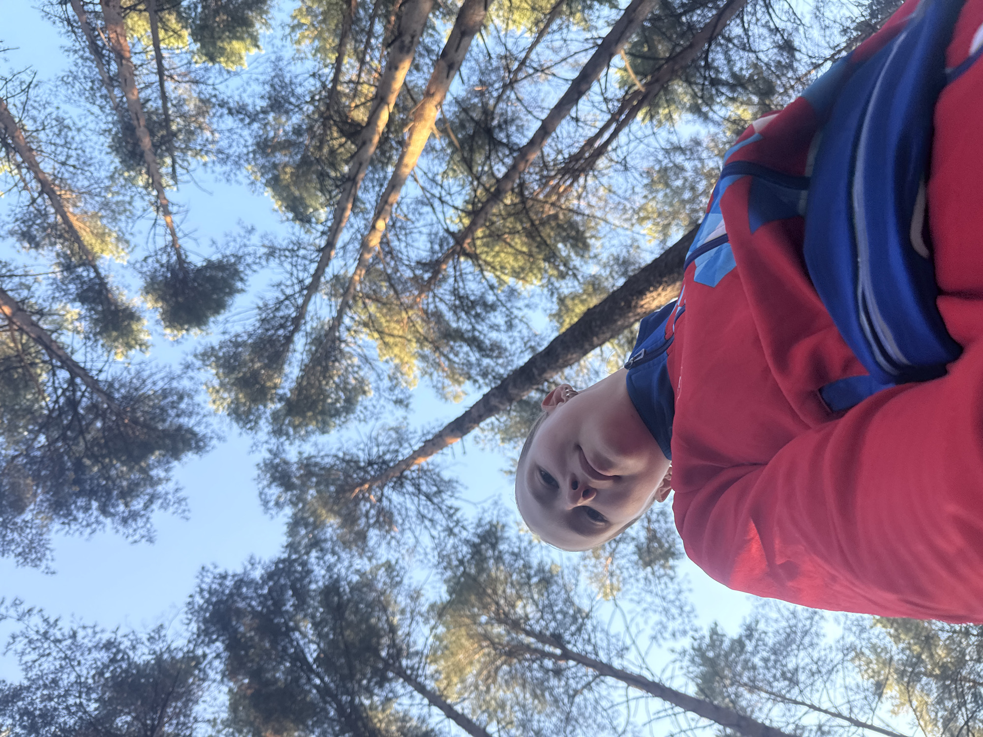 An upward-angled outdoor photograph captures a young person looking down into the camera, framed against a forest and sky backdrop. The subject, a young individual with fair skin and short hair, is positioned in the upper right portion of the image. They wear a red long-sleeved top, possibly a jacket or hoodie, featuring blue and white accents on the sleeves and shoulder area. Their expression is calm and neutral, with a slight hint of a smile.
The background is dominated by numerous tall, slender pine or fir tree trunks reaching upwards towards a clear, bright blue sky. Sunlight casts a warm, golden glow on some of the tree trunks and scattered branches, suggesting the photo was taken during either early morning or late afternoon golden hour. The foliage of the trees appears as green and dark green textures, some blurred, against the bright sky. The overall scene depicts a serene natural environment in a forest. No text is visible in the image. The location context for this setting is Chaikovsky, Russia.