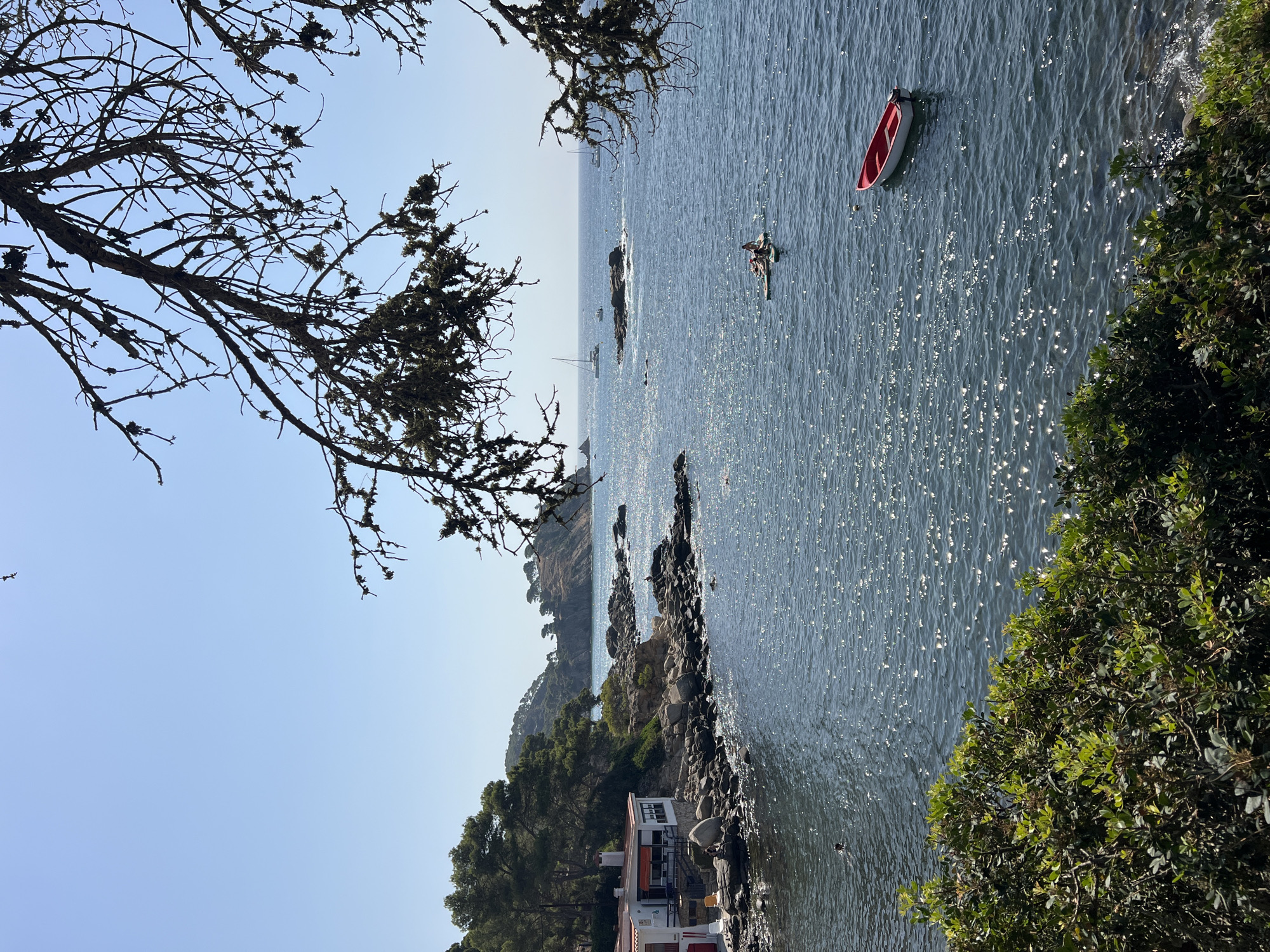 The image captures a sunny coastal scene in Palamós, Spain, likely from a slightly elevated vantage point. In the foreground, lush green foliage partially obscures the view, framing a picturesque bay. The sea is a deep blue, shimmering with sunlight.
To the left, a white building with a red roof and an orange awning sits nestled on a rocky shore, backed by pine trees that climb the gentle slope of the land. Several large rocks jut out into the water near the building.
The middle ground of the bay features several elements: a small red boat with a white interior is moored in the water. Further out, two people are visible on a paddleboard or raft. In the distance, sailboats glide across the water, and more land with trees and rocky outcrops forms the horizon. The sky is clear and a bright, pale blue. The overall atmosphere is tranquil and summery.