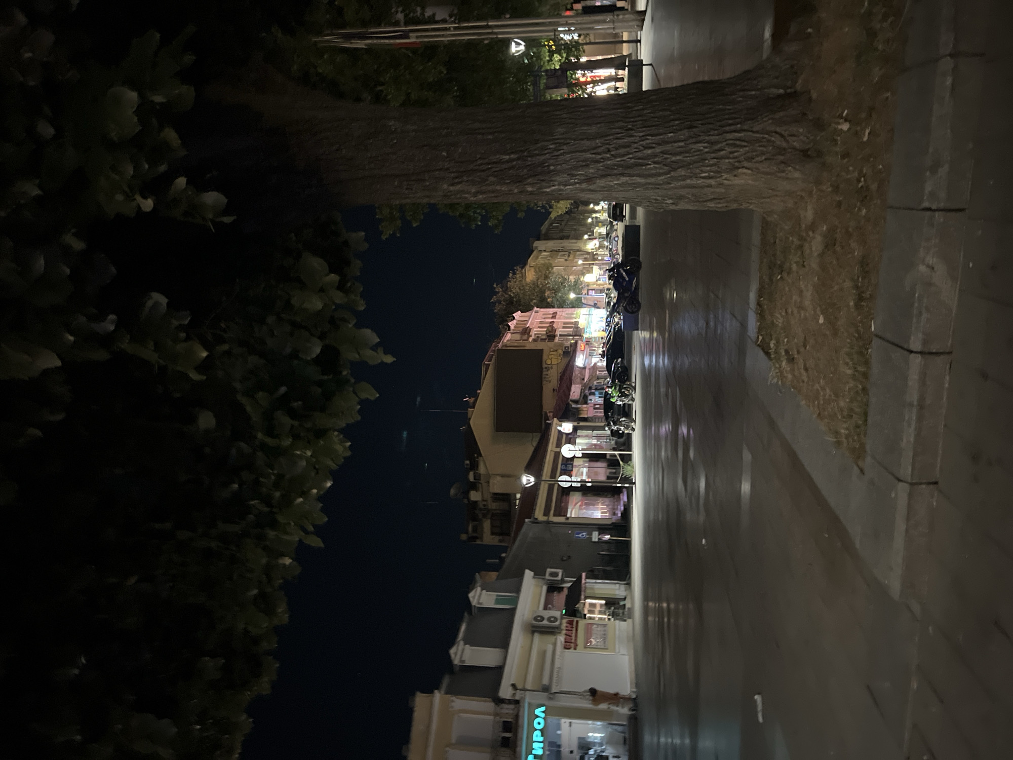 The image depicts a nighttime street scene in Ruse, Bulgaria. In the foreground, a large tree trunk with rough bark dominates the right side of the frame, partially obscuring the view of the street and buildings beyond. The street appears wet, reflecting the lights from shop windows and street lamps. Several vehicles, including motorcycles and cars, are parked or moving along the street.
The buildings lining the street are typical of an urban environment, with illuminated shopfronts and architectural details visible. Signs in what appears to be Cyrillic script are present on some of the establishments. The sky is dark, suggesting it is late evening or night. The overall atmosphere is quiet and somewhat deserted, characteristic of a city at night. The perspective suggests the photographer is standing on the sidewalk.