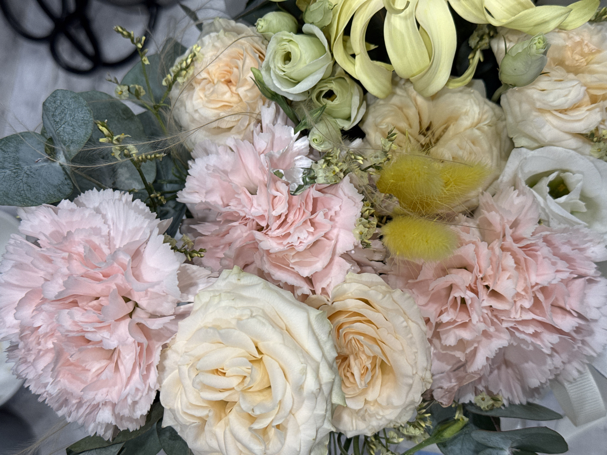 A close-up shot displays a bouquet of mixed flowers, featuring carnations in shades of pink, roses in pale yellow, and smaller green roses, along with yellow bunny tails. The bouquet is set against a blurred background, which appears to be a wall of some sort.