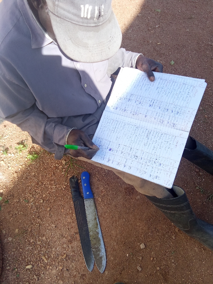 Memory