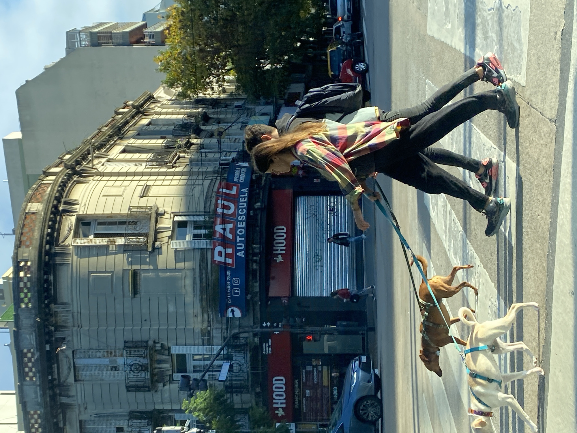This urban scene, captured from an elevated perspective, depicts a bright, sunny day in what appears to be Buenos Aires, Argentina. The primary subjects are two people and three dogs crossing a street on a marked crosswalk.
In the foreground, a person, likely a woman with long brown hair, wearing a colorful plaid shirt and black pants, walks two dogs on blue leashes. One dog is light brown, and the other is a lighter, possibly white or cream-colored, sighthound type. Another person in black pants and sneakers walks closely behind. Their stance suggests they are actively walking.
The street itself features a pedestrian crosswalk with white markings. To the left, a row of multi-story buildings lines the avenue, showcasing classic architectural elements, including ornate balconies and window designs. One prominent building on the left has several business signs.
Visible text on the buildings includes:
- A large blue sign for "RAUL AUTOESCUELA APRENDE A CONDUCIR!" (Raul Driving School Learn to Drive!), along with a phone number "ii 6369-2549" and social media icons.
- Several red signs for a business named "HOOD," one of which specifies "PANCHERIA" (hot dog stand) and lists "NADIACS" and "YEYEONOS."
- Another sign indicates "Avenida Сазания 3100-3000," which is likely a street address, possibly "Avenida Casares."
A blue car is parked on the right side of the street, and a red traffic light is visible further down the road. The clear blue sky and strong shadows indicate it's daytime, likely midday or early afternoon. The overall impression is that of a bustling city environment with daily life activities unfolding under clear weather conditions.