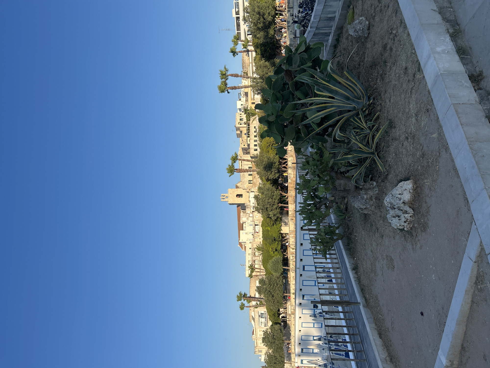 A wide shot captures the waterfront promenade and town of Otranto, Italy, under a clear, bright blue sky. In the foreground, a patch of dry, sandy earth contains several large, spiky plants, including prickly pear cacti and a variegated agave. Scattered rocks and dried vegetation are visible in the soil. A low, light-colored concrete barrier lines the edge of the promenade.
Beyond the foreground, a row of white beach huts with blue trim and closed shutters runs horizontally. A wooden railing separates the huts from the promenade area. Beyond the huts, a line of green trees forms a dense canopy, with palm trees interspersed among them.
In the background, the town of Otranto rises against the sky. Buildings are primarily light-colored, with terracotta roofs. A prominent bell tower of a church, made of stone, stands out in the center of the town. A few distant figures can be seen walking along the promenade behind the trees, and several bicycles are parked to the right of the frame. The overall impression is one of a tranquil, sunny day by the sea.
