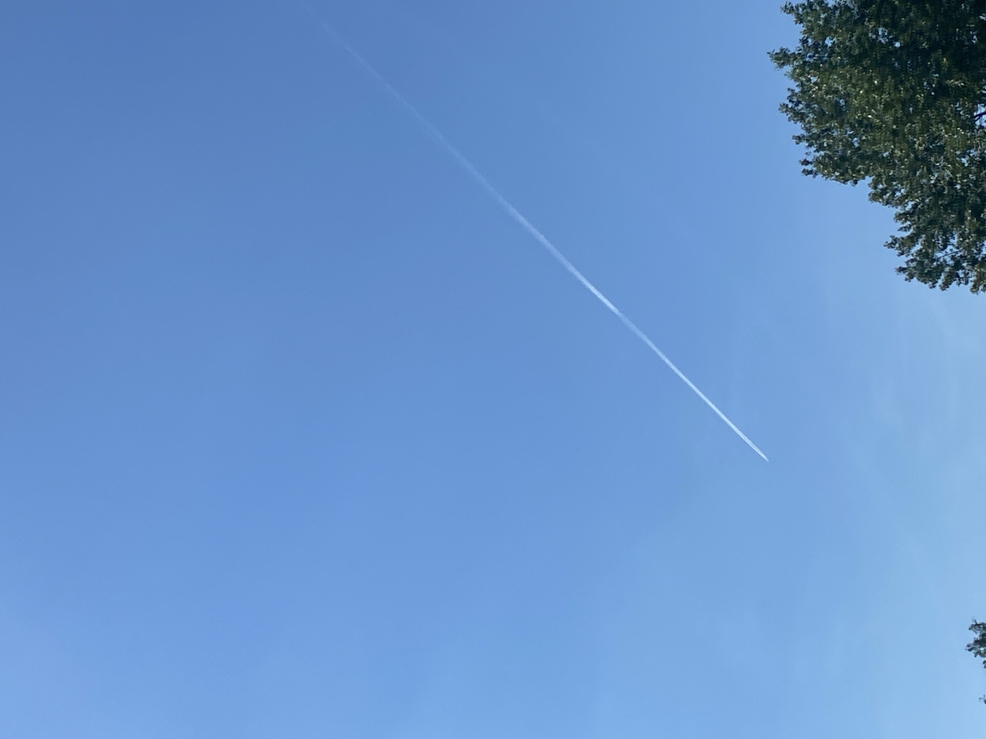 The image shows a bright blue sky with a white contrail from an airplane. A tree branch with green leaves is visible in the upper right corner of the frame. The location in the city of Chaikovsky, Russia, is not discernable from the image.