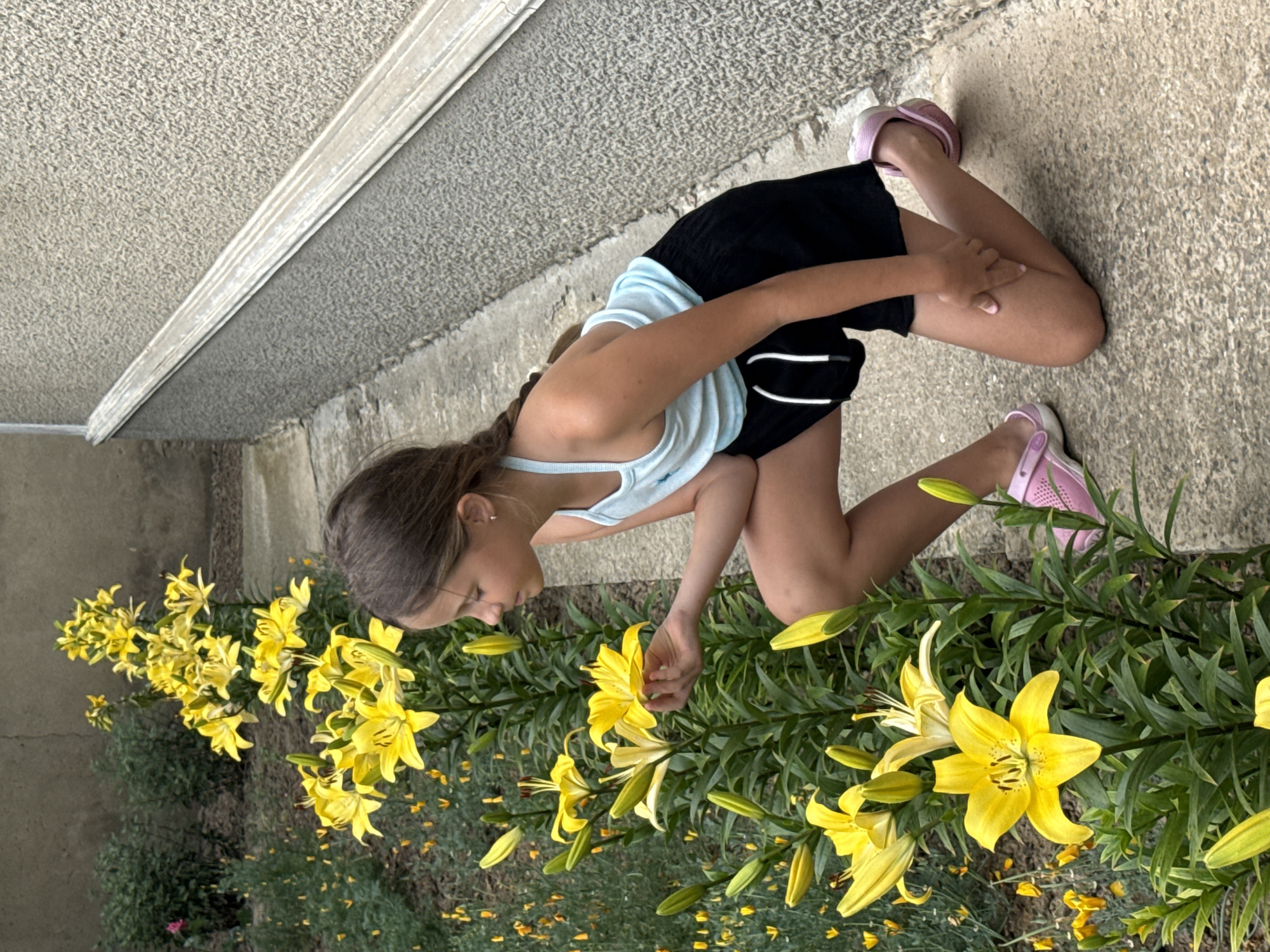 The image shows a young girl kneeling in front of a cluster of bright yellow lilies. She is wearing a light blue tank top and black shorts, with pink Crocs on her feet. Her long brown hair is styled in a braid. The girl is looking down at the flowers, with one hand gently touching a lily. The lilies are in full bloom, with many open flowers and buds. The background consists of a grey concrete wall and textured ground. The lighting suggests it is daytime, and the weather appears to be clear. The scene evokes a sense of calm and appreciation for nature, with the girl appearing focused and engaged with the flowers. There is no visible text in the image.