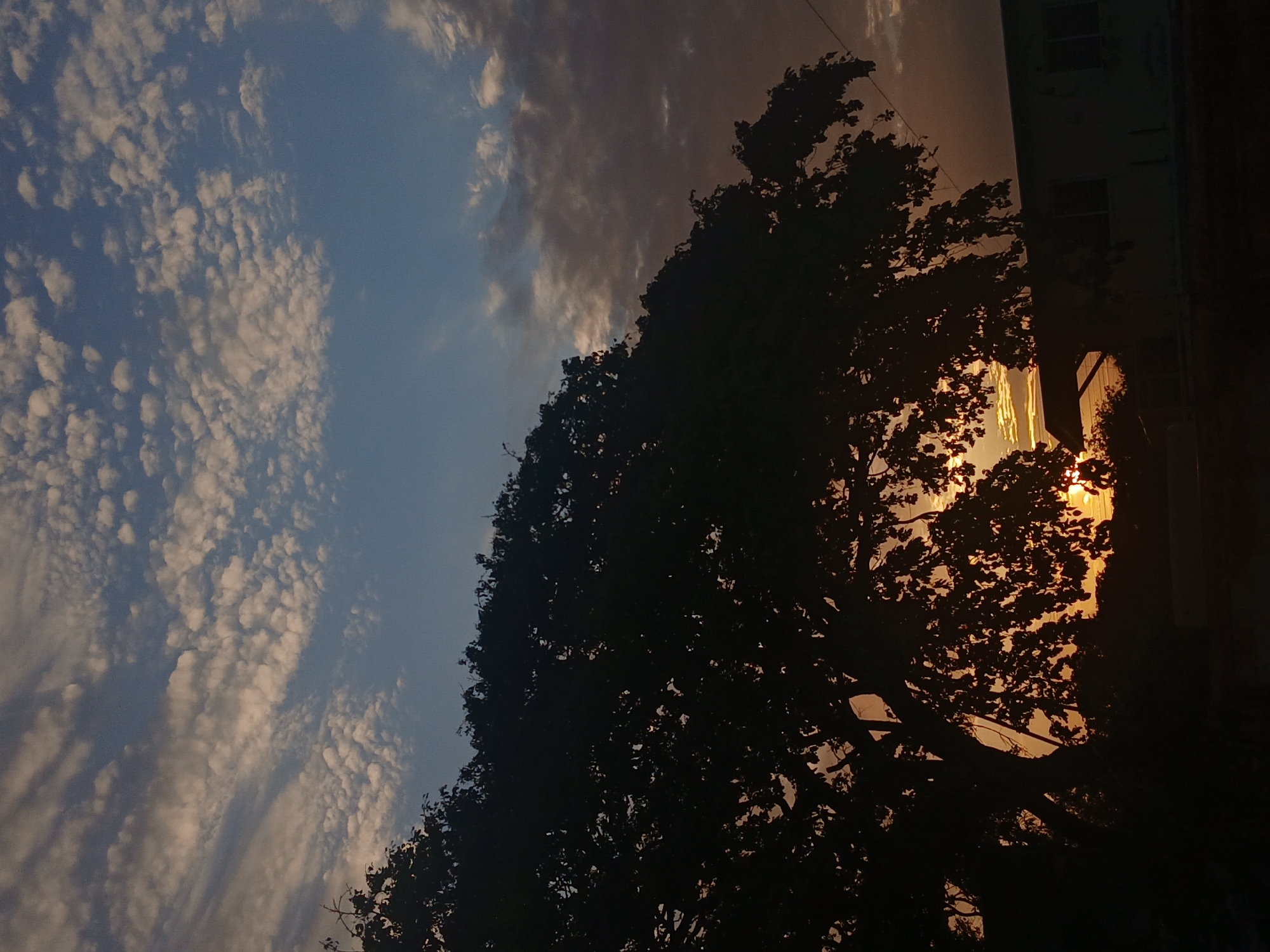 The image shows a sky with blue and gray clouds, contrasted by a dark silhouette of a large tree. The sun is setting, visible as a bright orange glow behind the tree and a building on the right side. The location is assumed to be Juan Griego, Venezuela.