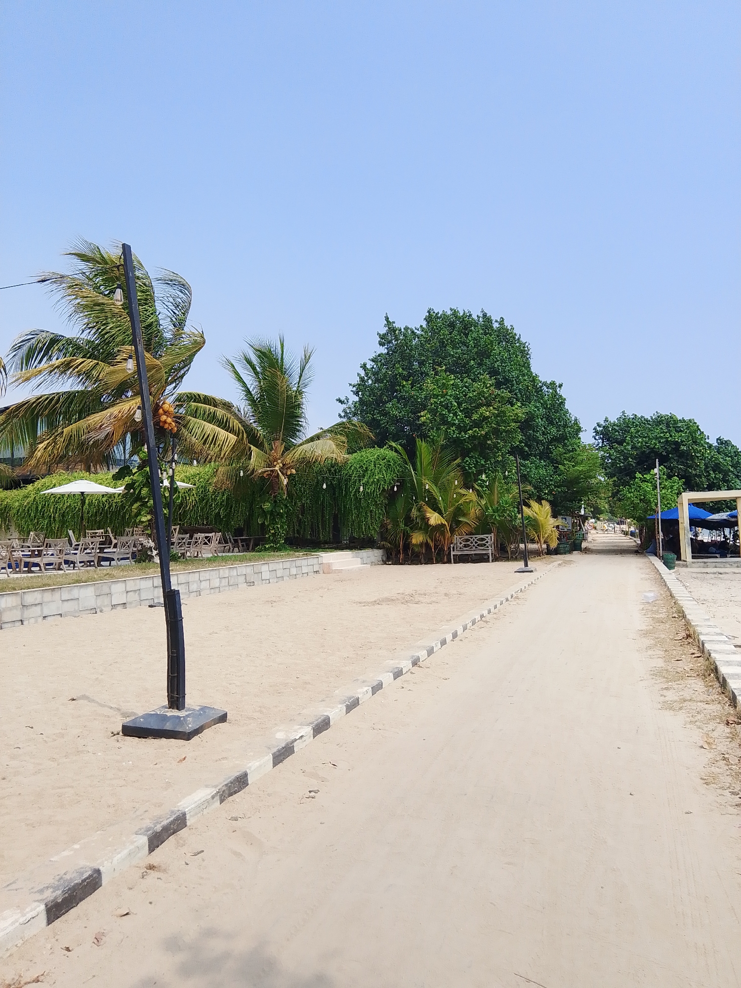 This image depicts a sandy path leading through a vegetated area with palm trees and dense greenery, likely a beachside resort or park. The path is bordered by concrete curbs with alternating black and white painted sections. On the left side of the path, in the foreground, is a black lamppost with a square base. Further back, there are rows of empty wooden tables and chairs under white umbrellas, suggesting an outdoor dining or seating area. A stone wall runs along the edge of this seating area. Several coconut clusters are visible on a palm tree. In the background, beyond the greenery, hints of tents or shelters can be seen. The sky is clear and blue. The overall impression is a tranquil outdoor setting, possibly in the city of Tegalsambi, Indonesia, designed for leisure and relaxation. There are no people visible in the image.