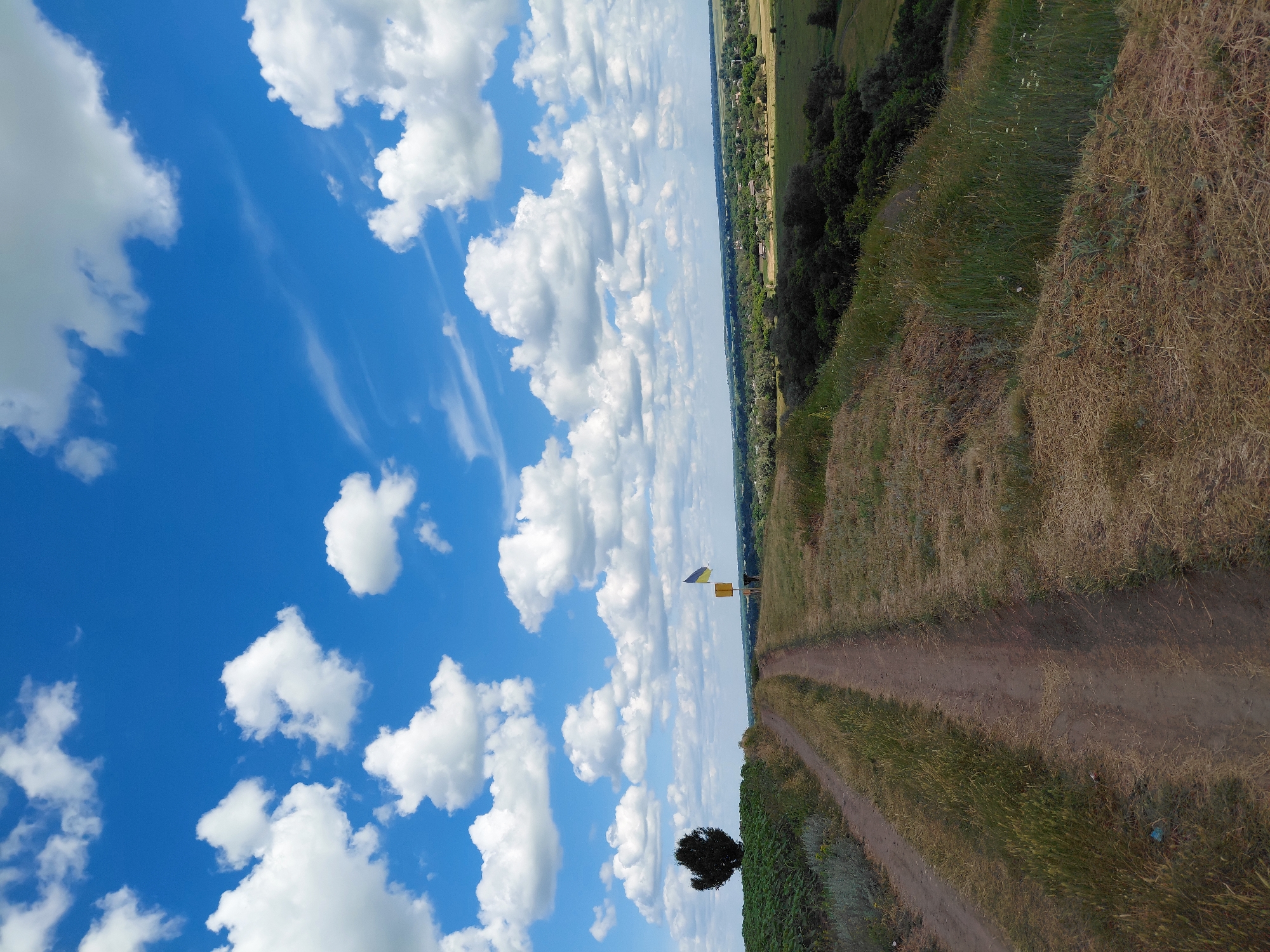The image depicts a dirt road leading through a rural landscape under a bright blue sky dotted with fluffy white clouds. On the left side of the road, a single dark tree stands amidst lush green foliage. Further down the road, a yellow sign with a Ukrainian flag is visible, with a person standing near it. The background reveals a distant village nestled among rolling hills and dense greenery. The scene appears to be captured in the city of Ustyvytsia, Ukraine, suggesting a serene and picturesque rural setting.
