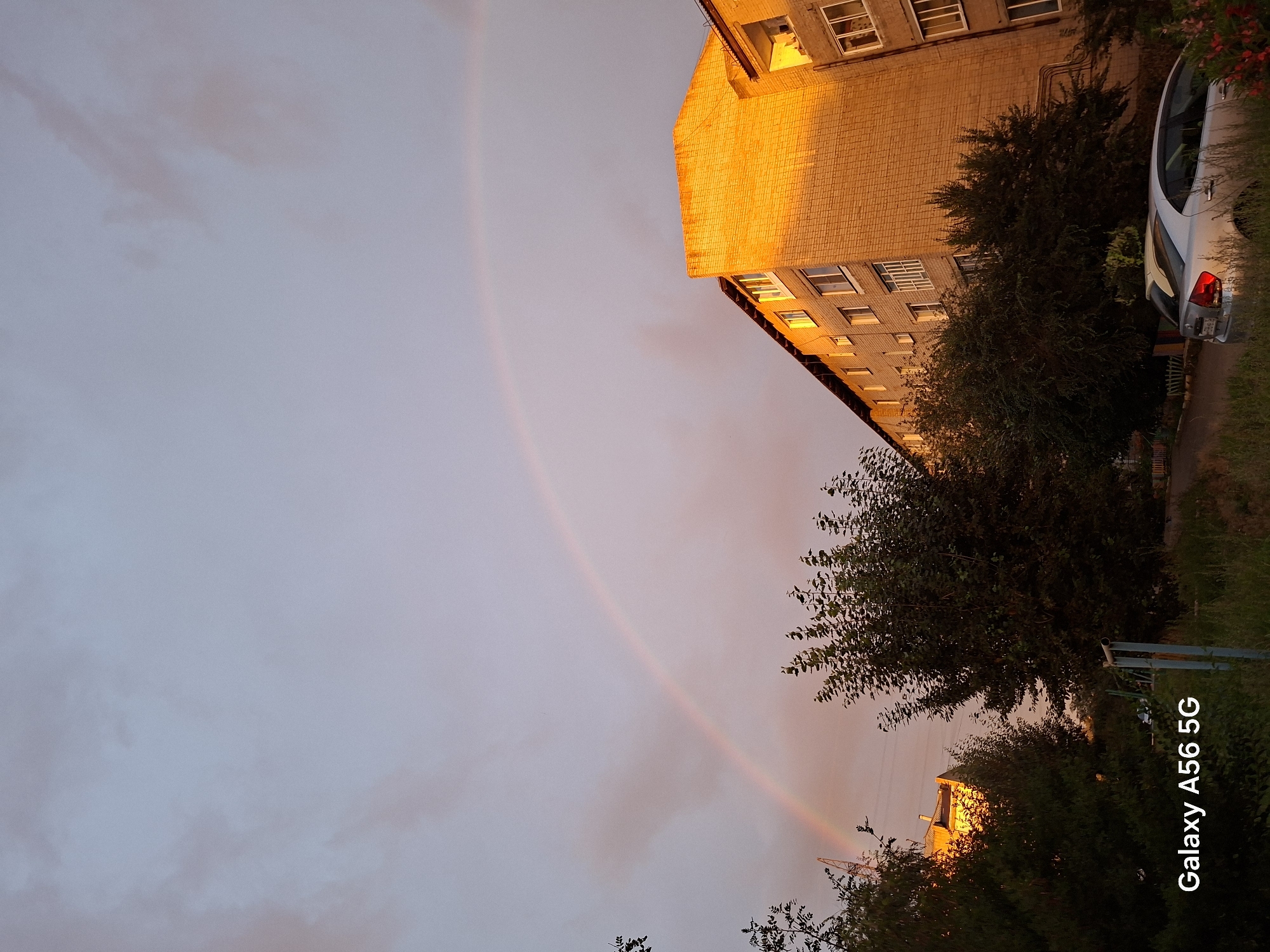 A rainbow arcs across a hazy sky, its colors faintly visible against the pale gray and pink clouds. Below, a multi-story brick building bathed in the warm, golden light of sunset dominates the right side of the frame. The building's facade is a textured yellow brick, with rows of windows, some reflecting the sky. Trees with dense green foliage partially obscure the lower floors of the building and extend into the foreground, creating a contrast between the man-made structure and the natural elements. A silver sedan is parked in front of the building, its rear visible with its brake lights illuminated. The foreground is overgrown with grass and vegetation, with a hint of pink flowers. In the distance, a construction crane is visible to the left of the building. The image is a landscape orientation, with the text "Galaxy A56 5G" in the bottom left corner, indicating it is a mobile phone photograph. The scene appears to be a residential area, possibly a Soviet-era apartment block, consistent with many areas in Chita, Russia. The time of day is likely late afternoon or early evening, due to the sunset lighting and the appearance of a rainbow, which often occurs after rain showers when the sun is low in the sky.