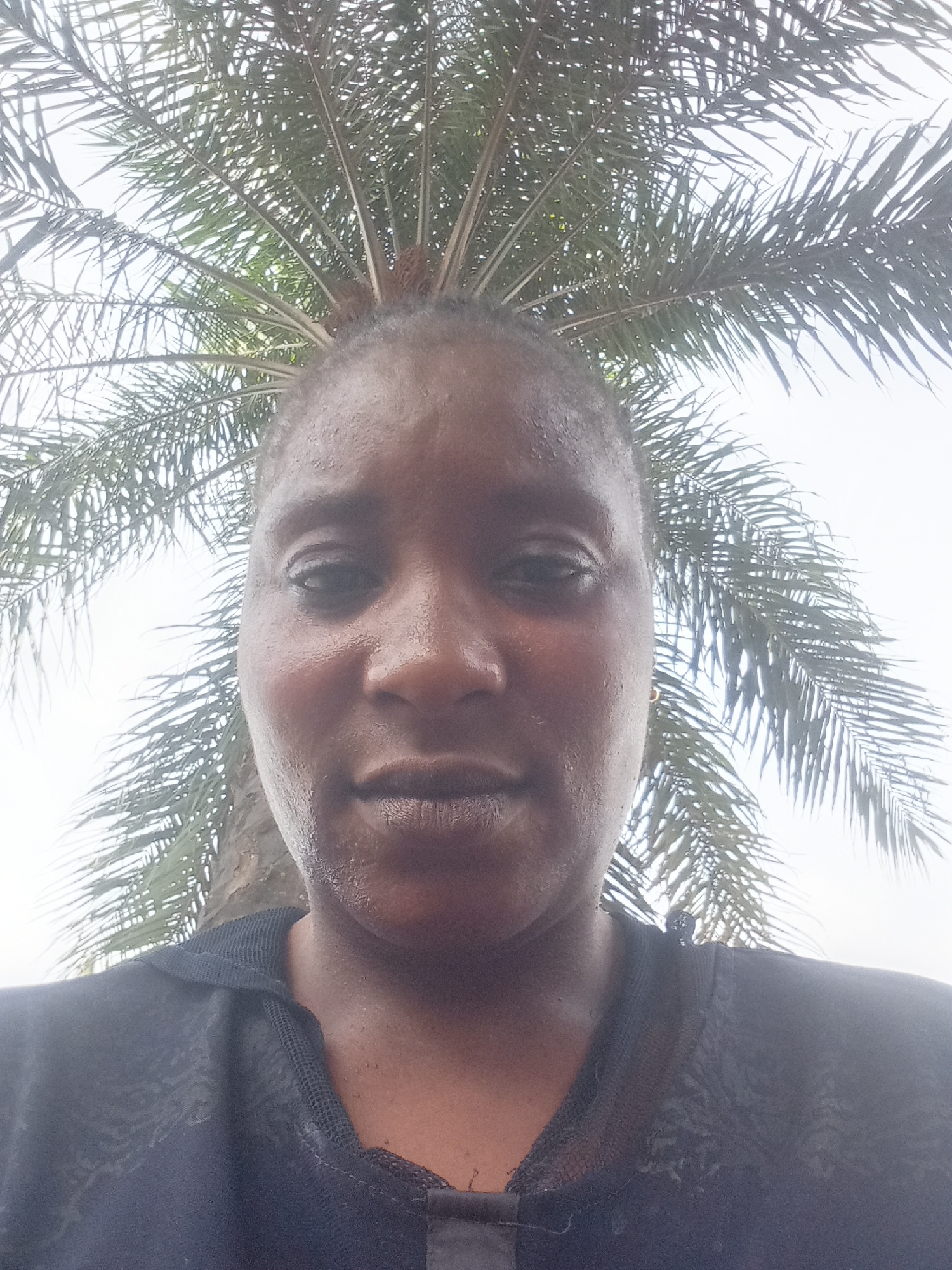 The image is a low-angle, close-up portrait of an individual, likely a selfie, set outdoors against a bright, overcast sky and a prominent palm tree. The subject is a person with dark skin, looking directly at the camera with a neutral expression. Their face appears moist, with visible beads of sweat or water, suggesting a warm or humid environment. They have short, dark hair, possibly shaved or closely cropped.
The individual is wearing a dark, possibly black, collared shirt. The shirt has textured or mesh detailing on the collar and shoulders.
Behind the person, the expansive fronds of a palm tree fan out against a uniformly light, whitish-grey sky, indicating daylight. The upward photographic angle positions the person's head beneath the dense canopy of the palm tree. No specific activity is captured beyond the person posing for the photograph. There is no visible text in the image. The presence of a palm tree and the wetness on the person's face align with the tropical climate typical of Akwanga, Nigeria.