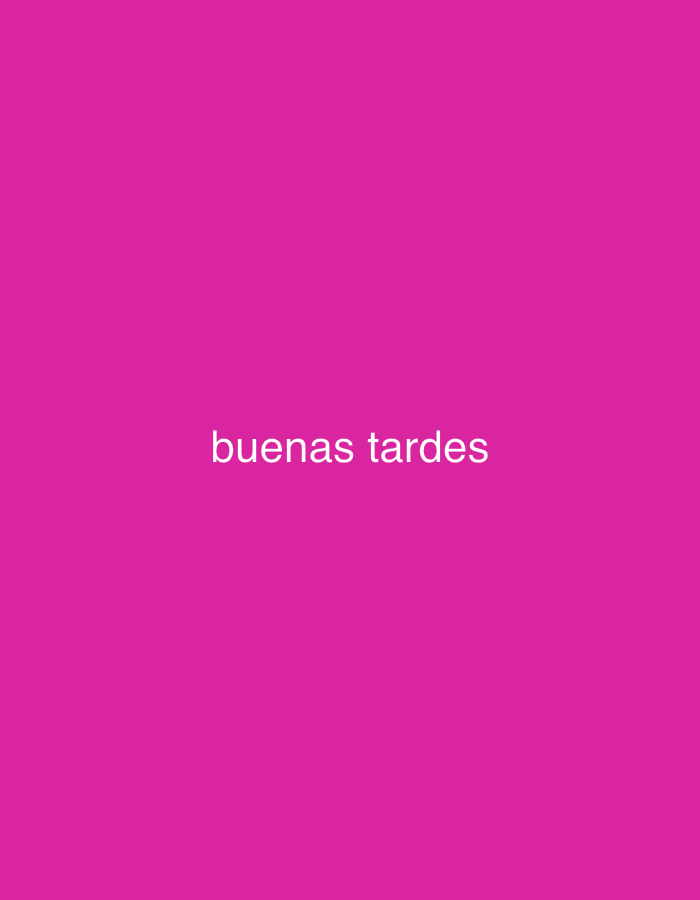 The image displays a simple digital graphic with a solid, vibrant magenta background. Centered on this background is the text "buenas tardes" rendered in a clear, white, sans-serif font. No people, objects, or specific environmental features are visible in the frame. The image lacks any discernible scene or setting, appearing as a purely textual message on a colored canvas. There are no visual cues to indicate the time of day, weather conditions, or any specific location within Santa Ana, Venezuela, or elsewhere. The text itself, meaning "good afternoon" or "good evening" in Spanish, is the sole point of focus and communication within the otherwise abstract composition.