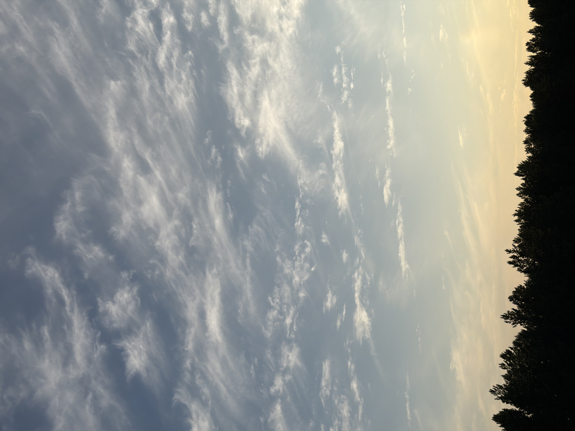 The image depicts a silhouetted line of trees against a sky filled with wispy clouds. The sky transitions from a pale yellow and orange near the horizon to a soft blue higher up, suggesting either sunrise or sunset. There are no visible people, animals, or buildings in the frame, making it a natural landscape scene. The location within Tsiolkovsky, Russia cannot be determined from the visual information provided.