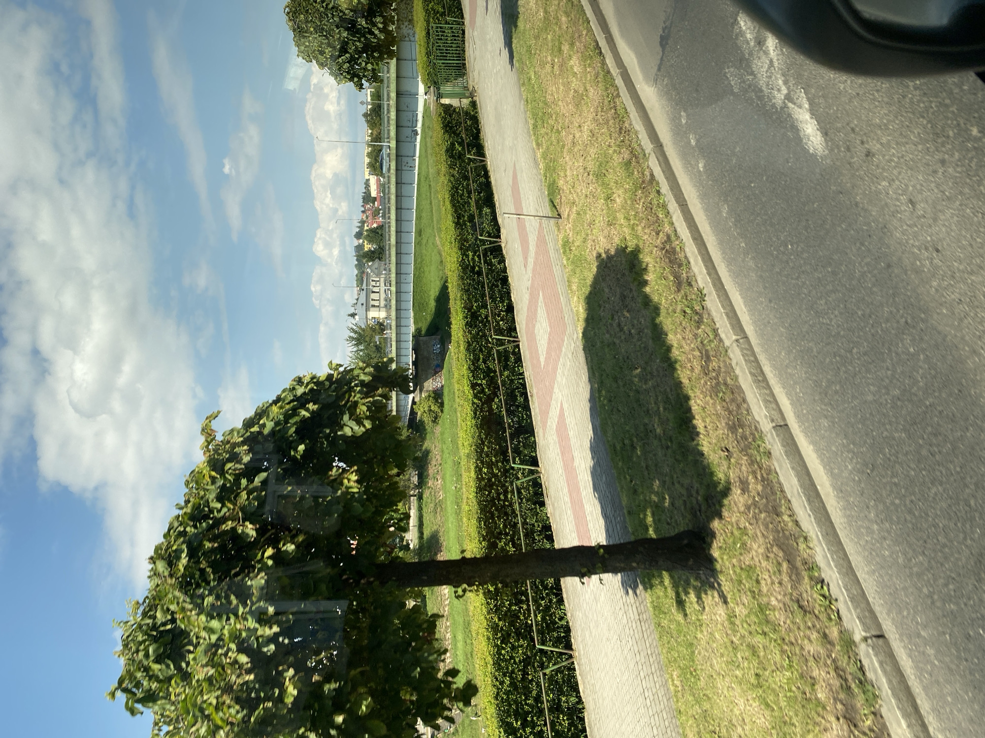 The image captures a sunny day in Przemyśl, Poland, viewed from a vehicle. In the foreground, a paved road with a white line marking is visible, bordered by a grassy verge and a concrete curb. Adjacent to the grass is a paved walkway with red and beige square tiles. A solitary tree with a dark trunk and dense green foliage stands on the grassy area near the walkway. Behind the walkway, a manicured green hedge forms a boundary. Beyond the hedge, a grassy embankment leads down to a river or canal, with a white bridge spanning across it in the mid-ground. Several buildings with red roofs are visible on the far side of the river, along with streetlights and trees. The sky is blue with scattered white clouds. A small section of a vehicle's interior, likely a rearview mirror housing, is visible in the lower right corner of the image, indicating the viewpoint is from inside a moving vehicle.