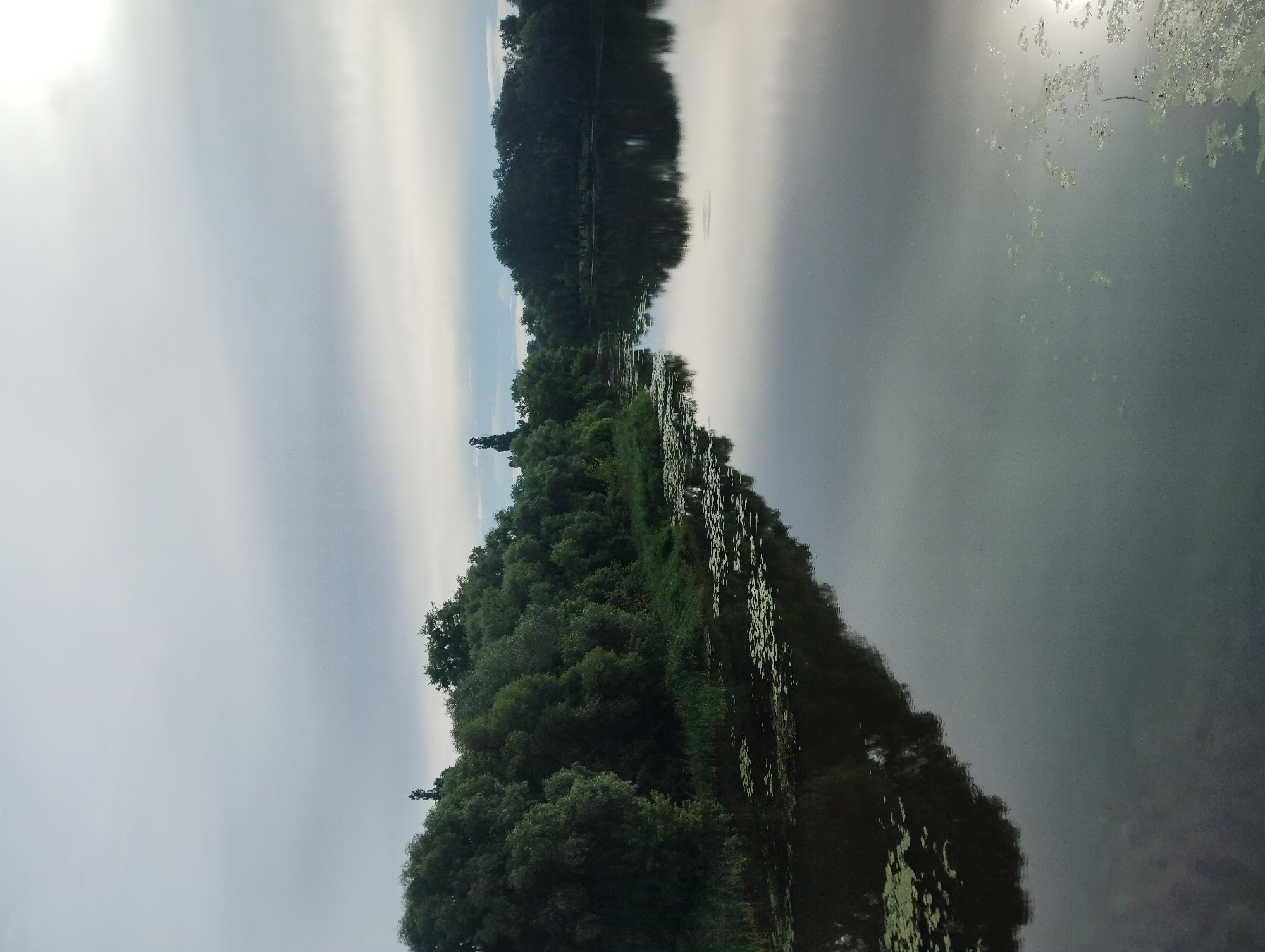 The image shows a calm body of water, likely a river or a lake, with a reflection of trees and the sky on its surface. The left bank is lined with dense green trees and vegetation, with some lily pads floating on the water's edge. The sky is overcast with soft, diffused light. In the distance, along the far bank, more trees are visible, forming a natural boundary. There are no people or specific structures immediately apparent in the scene. The overall impression is one of natural tranquility. The location is identified as being in the city of Sumy, Ukraine.