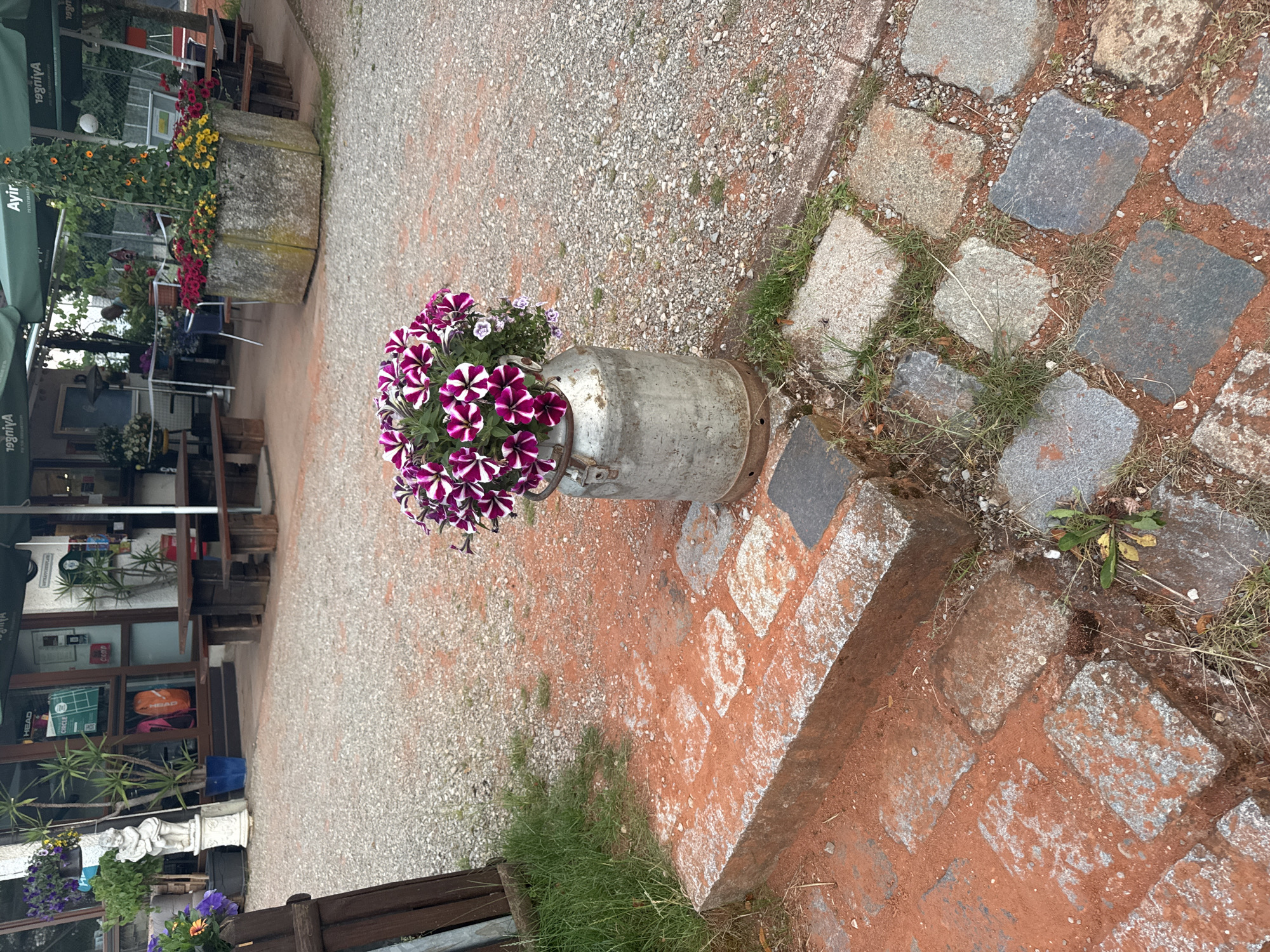 A metallic milk can, filled with blooming purple and white petunias, sits on a raised brick platform covered in reddish-brown soil. The platform is surrounded by gravel. In the background, picnic tables with benches are set up under green umbrellas. Behind the tables, a building with large windows and a green awning is visible. The scene appears to be an outdoor seating area of a cafe or restaurant in Neubiberg, Germany. The overall setting suggests a sunny day, with a relaxed atmosphere.
