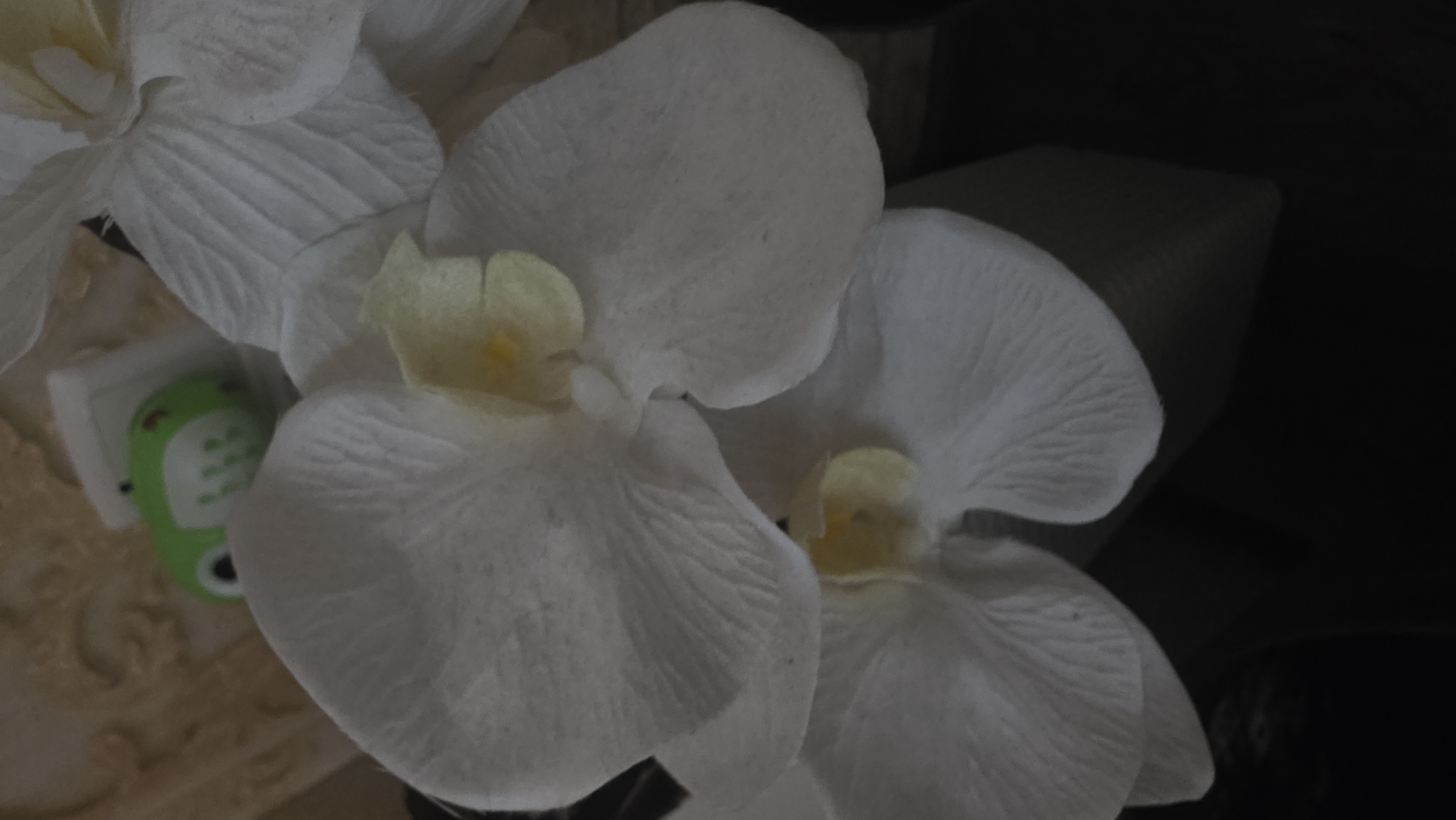 The image shows a close-up of several white artificial orchid flowers. The flowers have soft, delicate petals with visible veins. The centers of the orchids are a pale yellow. In the lower left portion of the image, a small, bright green object with a white border is partially visible. This object appears to be a decorative item or a small electronic device, possibly a toy, with some imprinted patterns and a circular opening. The background is dark and out of focus, suggesting a dimly lit setting, possibly indoors. The lighting on the orchids creates subtle shadows, highlighting their textures. No people are visible in the image. The overall mood is calm and serene, focusing on the beauty and texture of the artificial flowers. No text is clearly legible within the image.