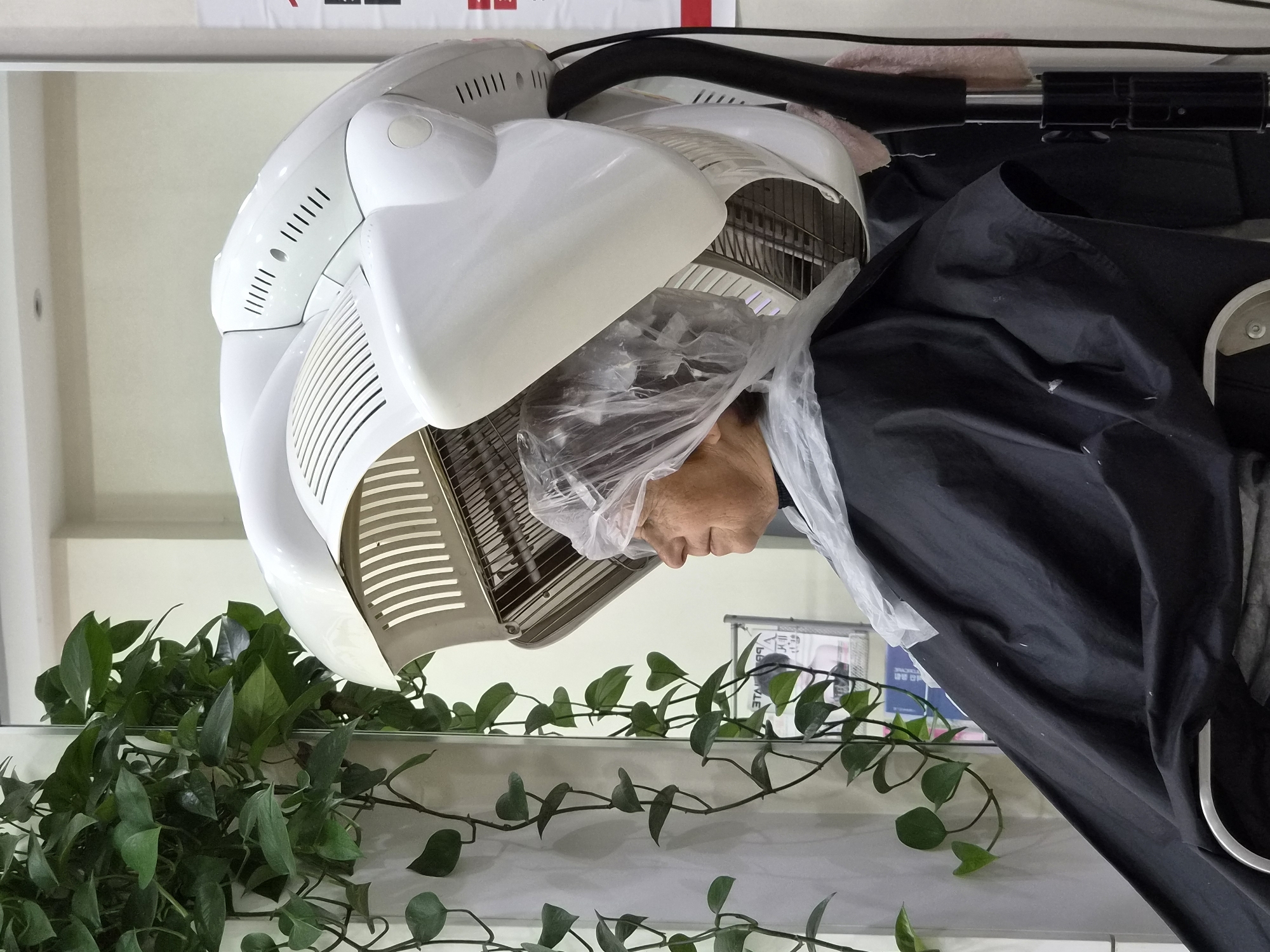 An elderly woman, seen from the side, sits with her head inside a white hooded hair dryer. She is wearing a clear plastic cap and a black cape that covers her shoulders and chest. Lush green vines with heart-shaped leaves hang from the left side of the frame, obscuring a portion of a light-colored wall. The hair dryer, a large, dome-shaped appliance with vents and a metal grid, is positioned over her head. A black pole with some pink fabric draped over it is visible to the right of the dryer. The background appears to be an indoor setting, possibly a salon, with a light-colored wall and ceiling. There is no discernible indication that this scene is located in Mishan, China.