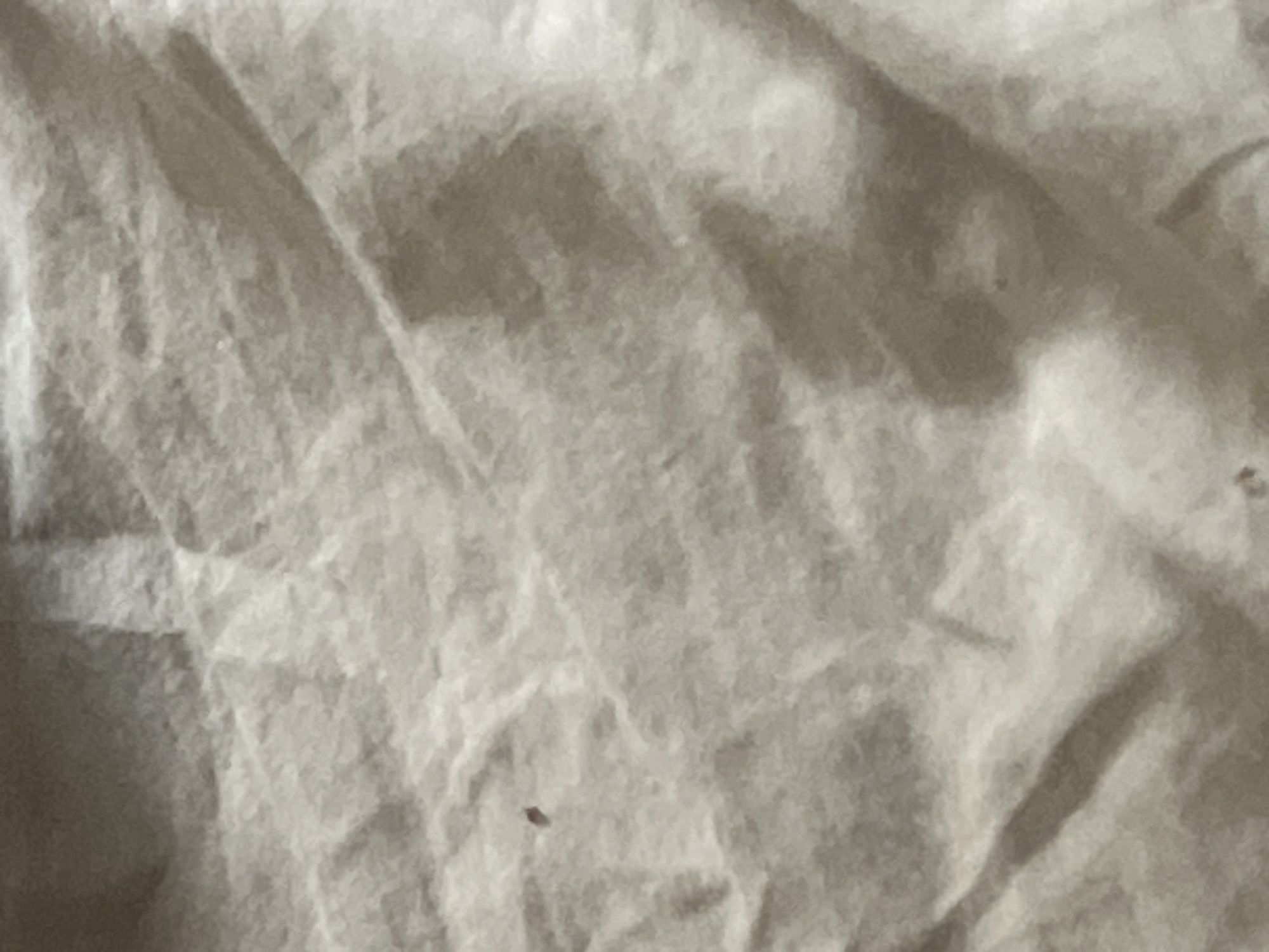 The image presents a close-up, high-angle view of a light-colored, crumpled textile surface, likely fabric, exhibiting an off-white or light beige hue. The surface is characterized by numerous wrinkles, folds, and creases that cast varying shadows and highlights, creating a textured and uneven appearance. A prominent, dark, irregularly shaped speck is visible in the upper-left quadrant of the frame. Several other smaller, less distinct dark specks are sparsely distributed across the fabric, particularly in the lower-central region. The lighting appears soft, defining the contours of the fabric's undulations. There are no individuals, specific objects beyond the textile and specks, or identifiable environmental features present within the frame. The image contains no visual information to ascertain a specific geographical location, including the city of Casablanca, Morocco.