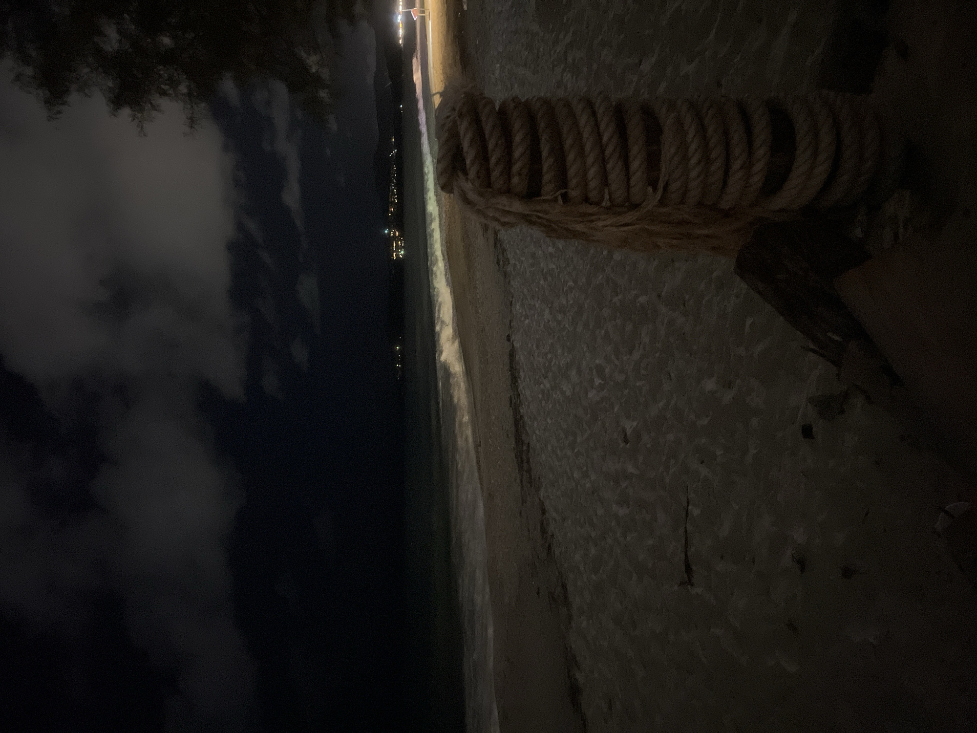 The image shows a dark beach scene at night, possibly in the city of Unknown, Unknown. A thick, coiled rope lies on the sand in the foreground, seemingly attached to a wooden structure. The beach stretches out towards a dark ocean, with faint city lights visible in the distance. The left side of the image is dominated by dark foliage and cloudy sky. The lighting is poor, with the scene illuminated primarily by distant city lights.