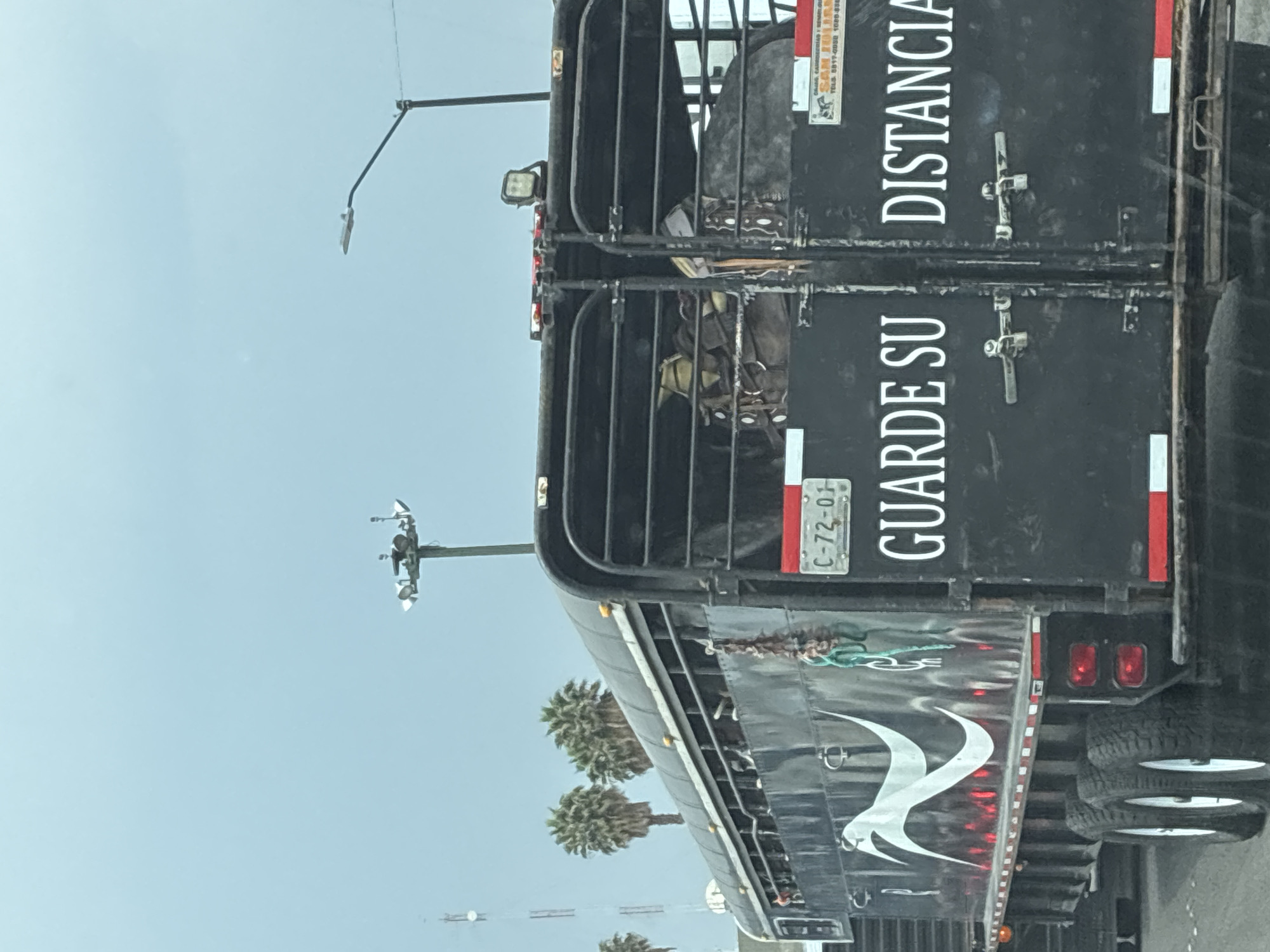 The image depicts the rear of a black livestock trailer, likely in Tepotzotlán, Mexico, given the license plate "C-72-01". The trailer features vertical white lettering that reads "GUARDE SU DISTANCIA", followed by the contact information for "SAM JOLL" of "CHING CARDEERIAS". The trailer has a metal gate at the back with bars and is hitched to a semi-truck. Palm trees are visible in the background, as well as power poles. The sky is overcast.