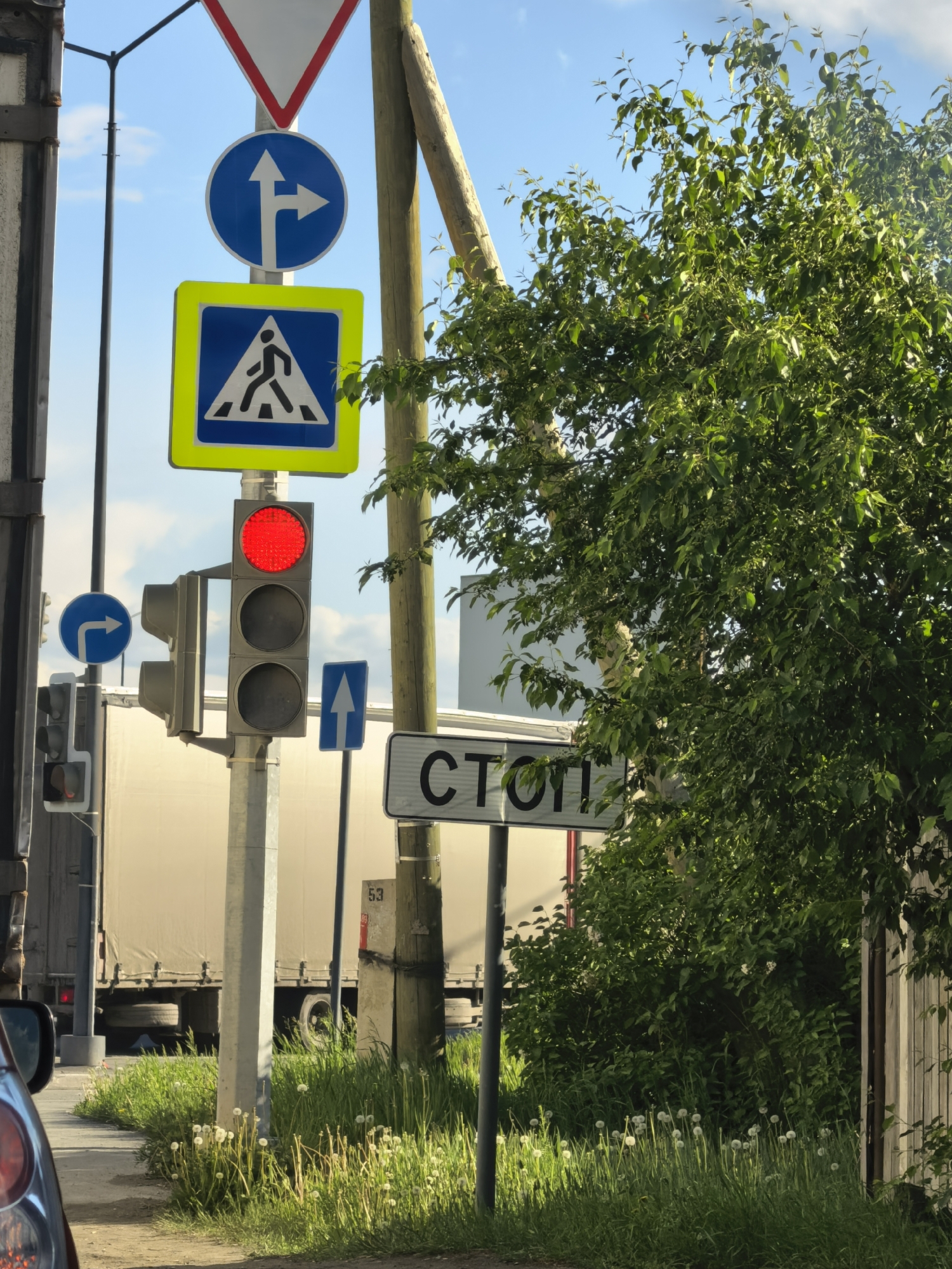 The image depicts a street scene in the city of Unknown, Unknown. There is a traffic light showing a red light. Above the traffic light is a yield sign, a blue sign with a white arrow and a right-pointing arrow, and a blue and yellow pedestrian crossing sign. Next to the traffic light is a blue sign with an upward-pointing arrow, and a "СТОП" stop sign, partially obscured by a tree. A semi-truck is visible in the background. Dandelions are growing along the edge of the sidewalk. A car is visible on the left side of the image.