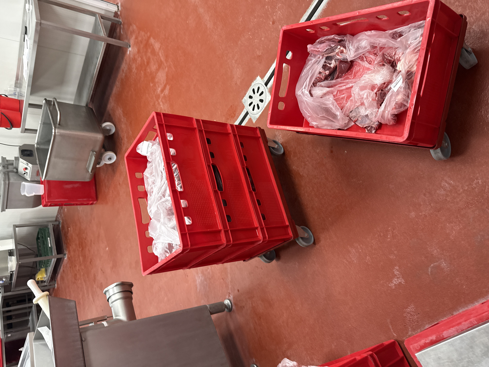 This image depicts an industrial food processing environment, likely a meat facility, situated in Stara Zagora, Bulgaria. The predominant feature is a reddish-brown, non-slip floor, which appears damp and slightly stained in various places, suggesting frequent cleaning or liquid spillage common in such settings.
Two bright red plastic crates, each equipped with wheels, are prominent on the floor. Both crates are filled with raw meat, individually sealed in clear plastic bags. The meat consists of various cuts, indicating it is likely awaiting further processing. A small white label with a barcode is visible on one of the plastic bags, though the text is unreadable.
Along the left side and in the background, several pieces of stainless steel industrial equipment are visible. These include a multi-tiered stainless steel table or shelving unit, a large wheeled stainless steel container or bin, and another piece of machinery, possibly a meat grinder or mixer, equipped with a white plastic plunger. These machines suggest a robust operation for food preparation or processing.
A metallic floor drain with a circular, star-patterned grate is set into the floor, outlined by a black strip, underscoring the facility's hygiene requirements. The walls, partially visible, are white, contributing to a clean, functional aesthetic. The area is brightly lit, typical of an indoor commercial or industrial space. No people are present, and the scene captures the static setup of the processing area.