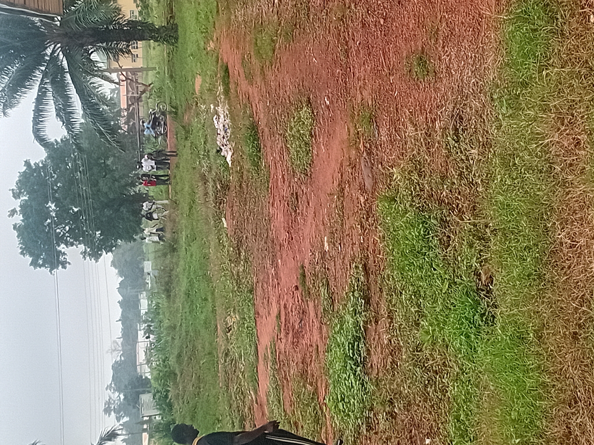The image depicts an outdoor scene with several individuals gathered in a grassy area with patches of red earth. In the foreground, a person wearing a black shirt with yellow trim stands on the left. Further back, a group of approximately ten people are congregated. Some are wearing white shirts and dark pants, while others are in casual attire. One individual appears to be on a motorcycle. In the background, there are trees, power lines, and buildings, suggesting a semi-urban or rural setting. A pile of white debris is visible on the ground in the middle ground. The overall environment appears to be overcast.