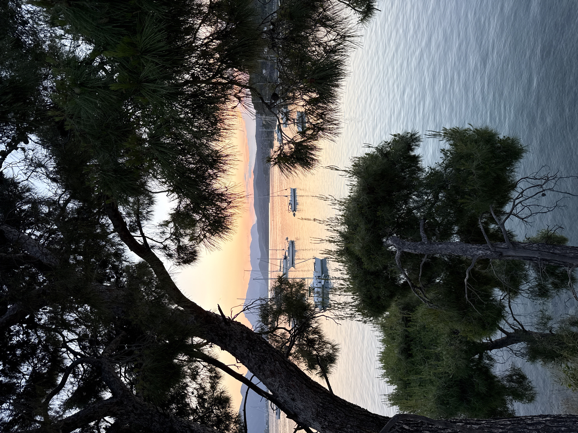 The image shows a view of a body of water, likely the sea, through the branches of trees. Several sailboats are visible on the water's surface. The sky has a gradient of orange and yellow, suggesting a sunrise or sunset. Mountains are visible in the distance. The image is likely taken in Poros, Greece, given the prompt.